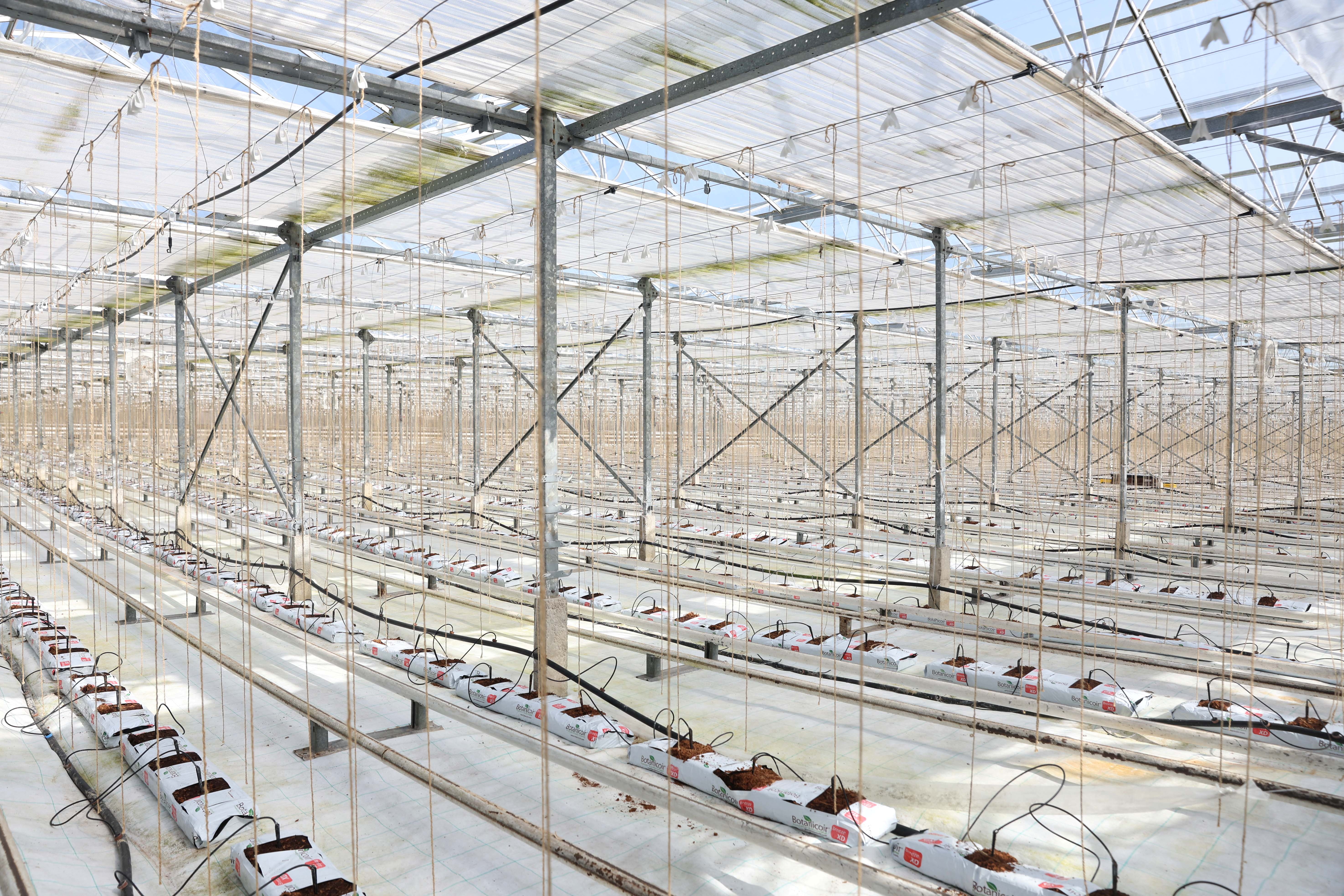 An empty greenhouse of cucumber grower Tony Montalbano is seen, as he did not plant in January due to the soaring cost of natural gas, at Green Acre Salads, in Roydon