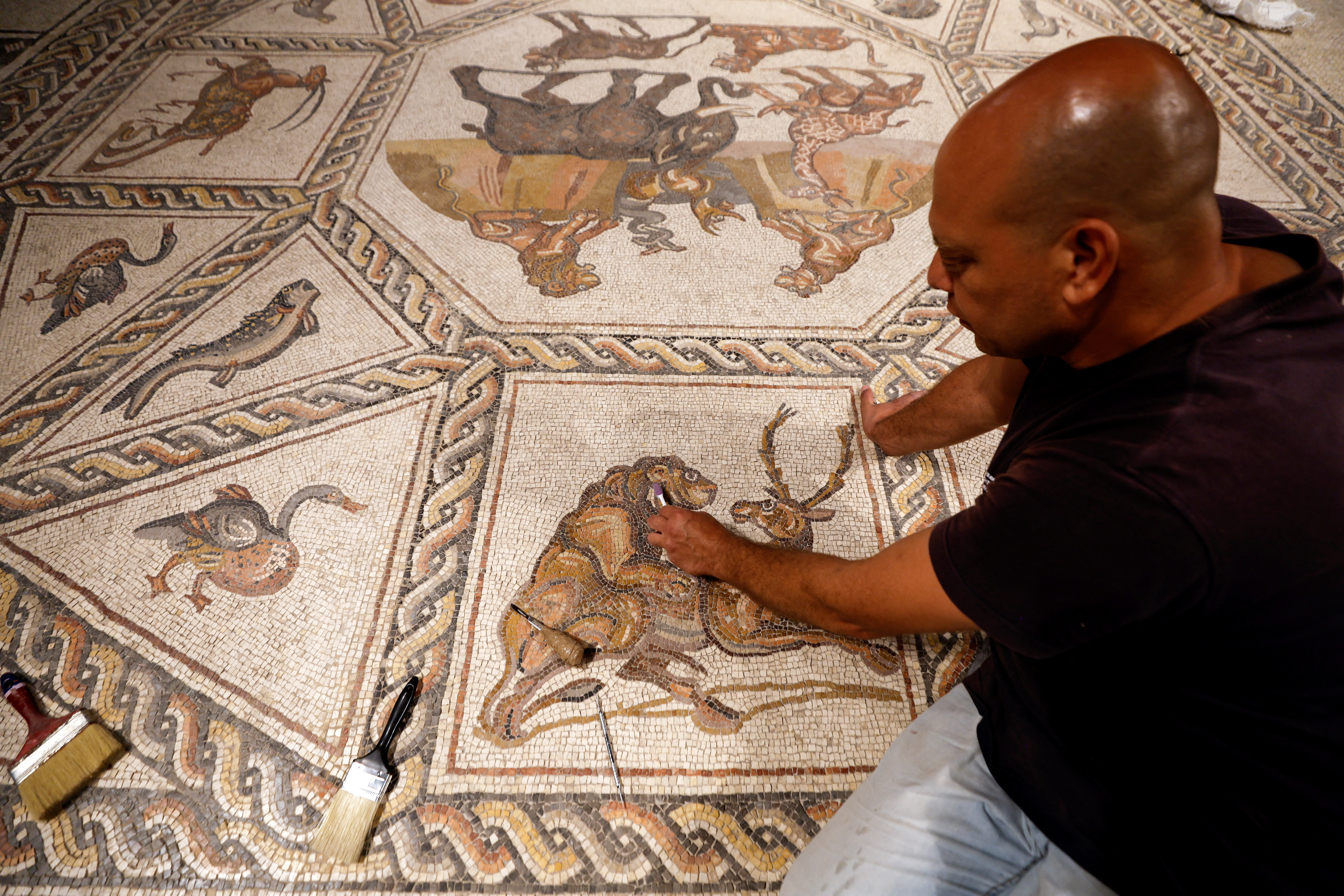 Stunning Ancient Mosaic Found Near Tel Aviv Returns Home After World Tour -  Archaeology 