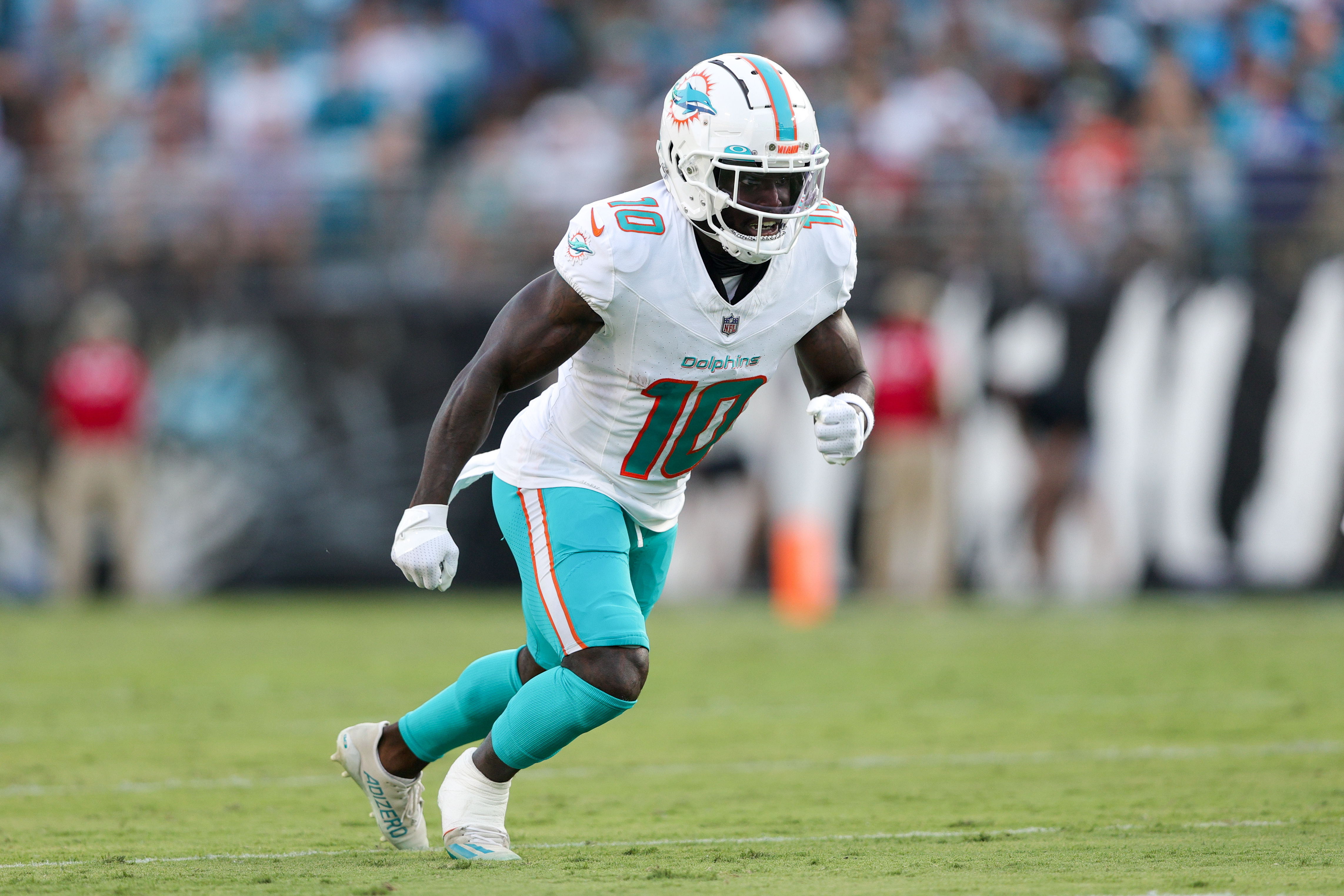 Miami Dolphins-Jacksonville Jaguars: NFL game action, EverBank Stadium