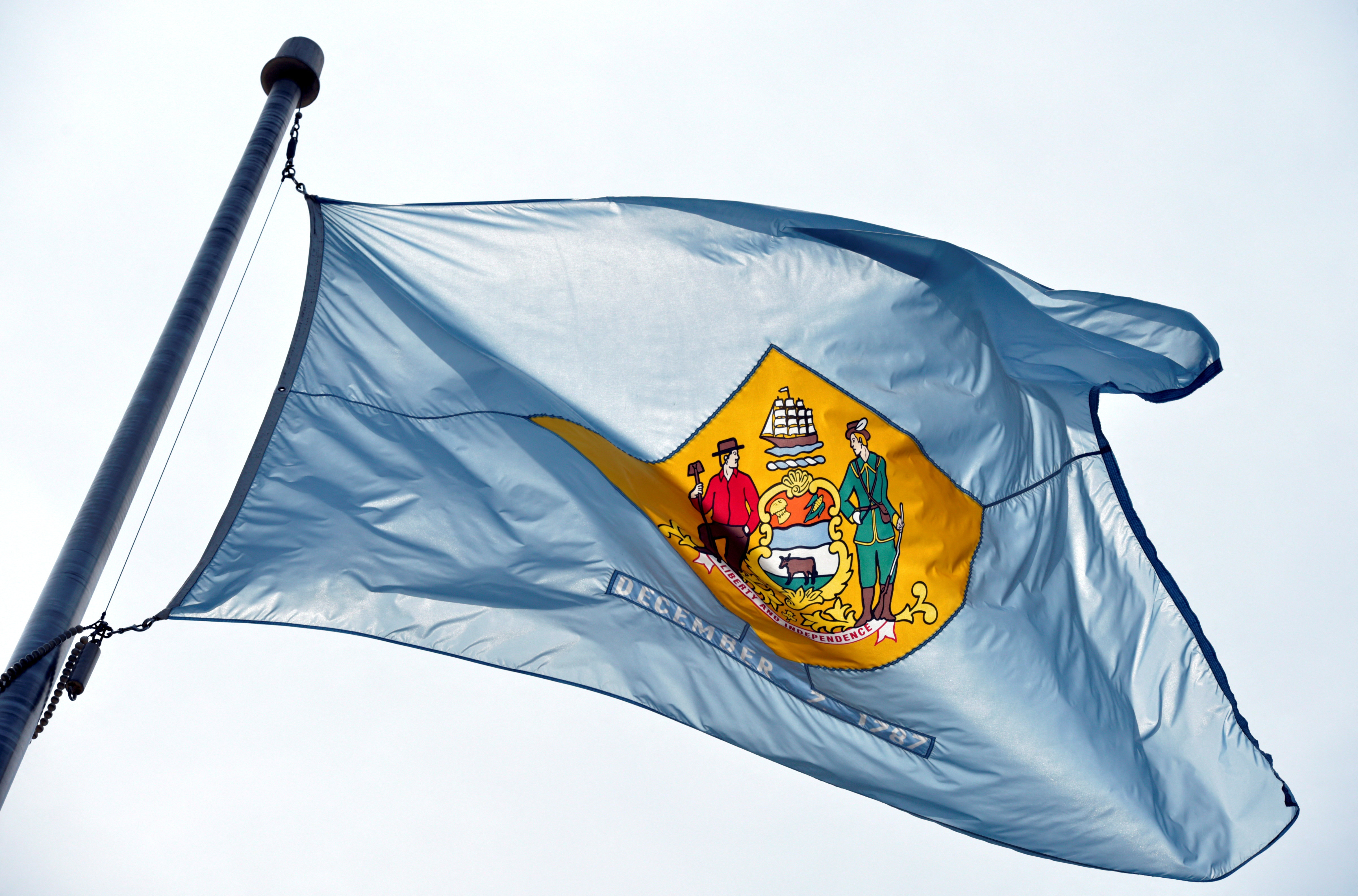 View of the state of Delaware flag