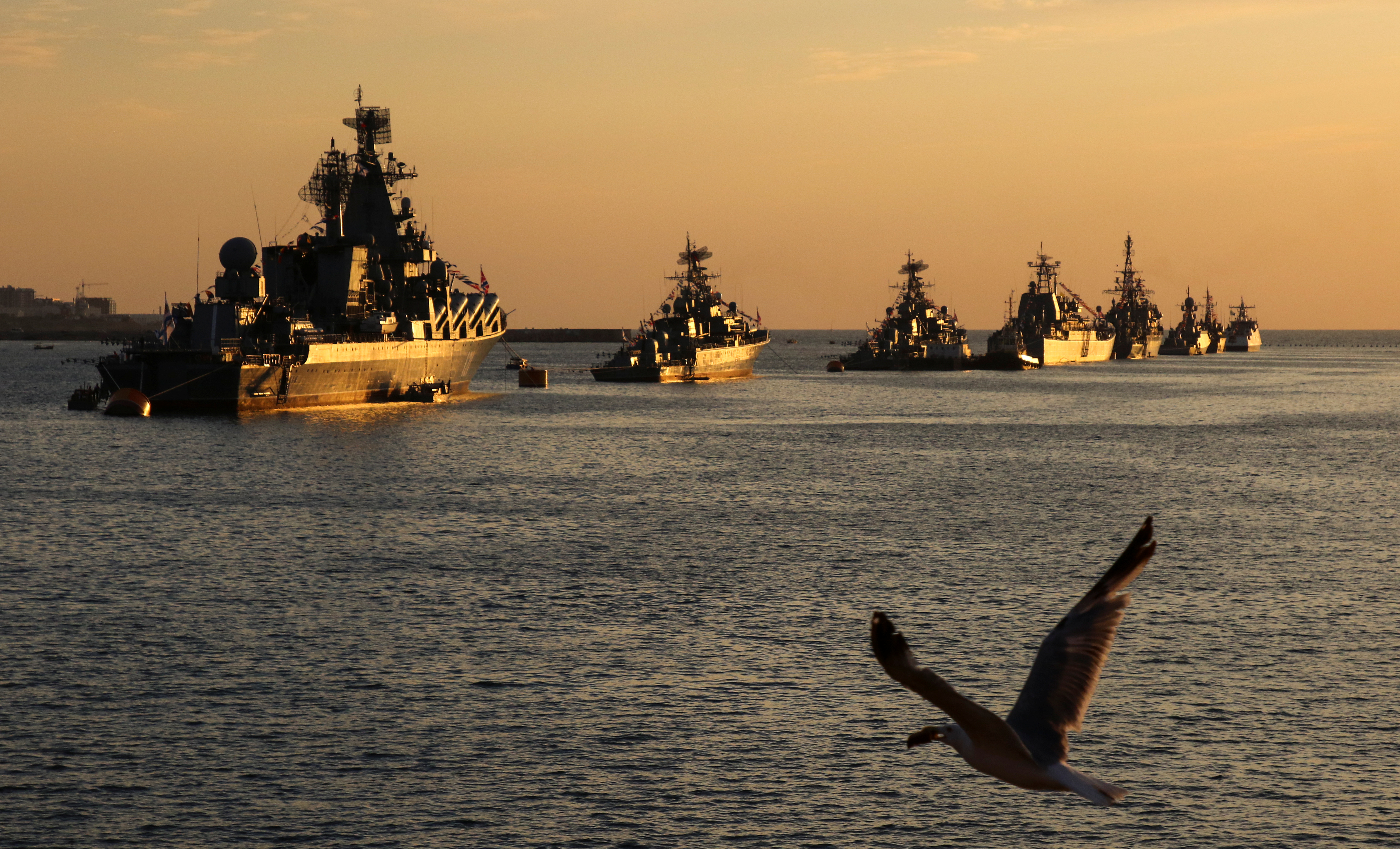 A seagull flies with a catch as Russian warships are seen during sunset ahead of the Navy Day parade in the Black Sea port of Sevastopol