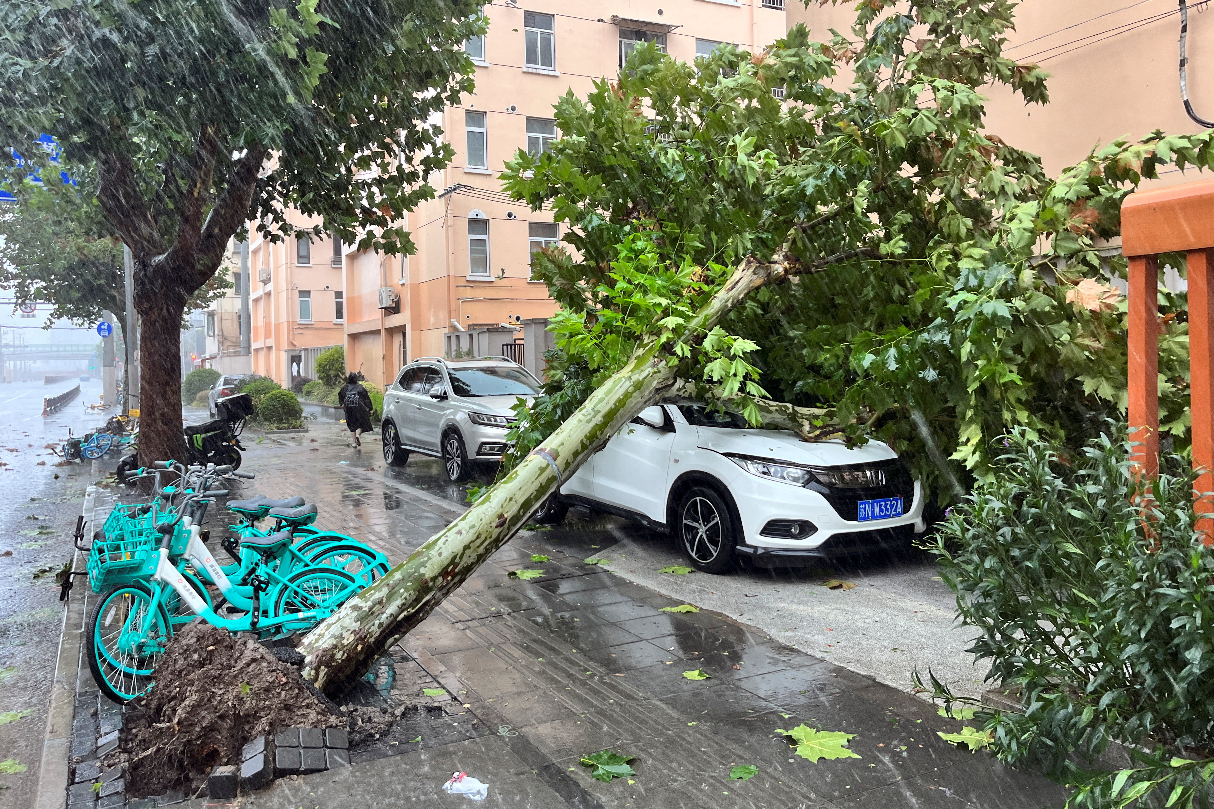 台風13号が中国上海直撃、1949年以来最強 航空便欠航や列車停止