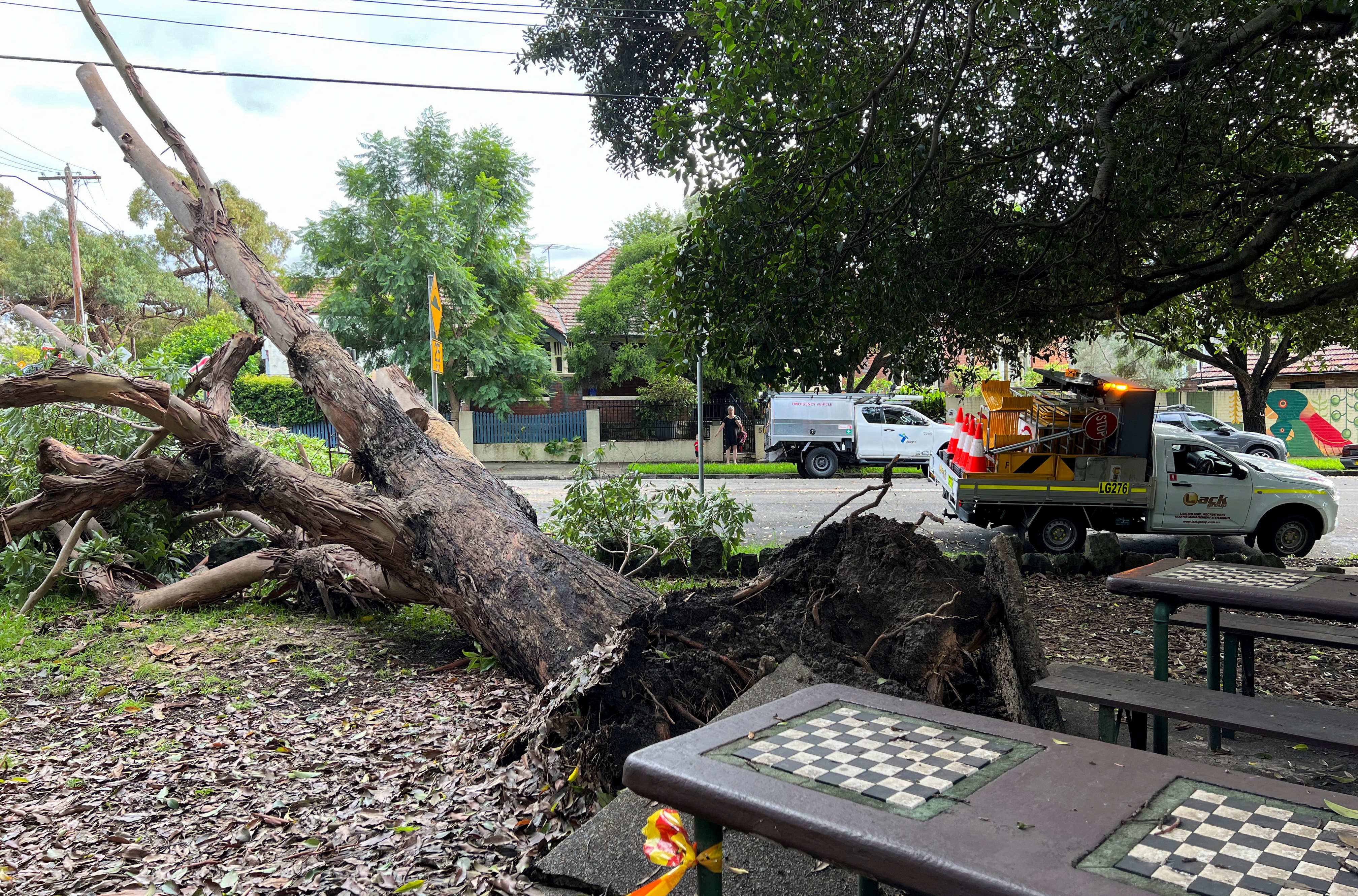 A tree lies toppled in a park following an overnight storm in the suburb of Stanmore in Sydney