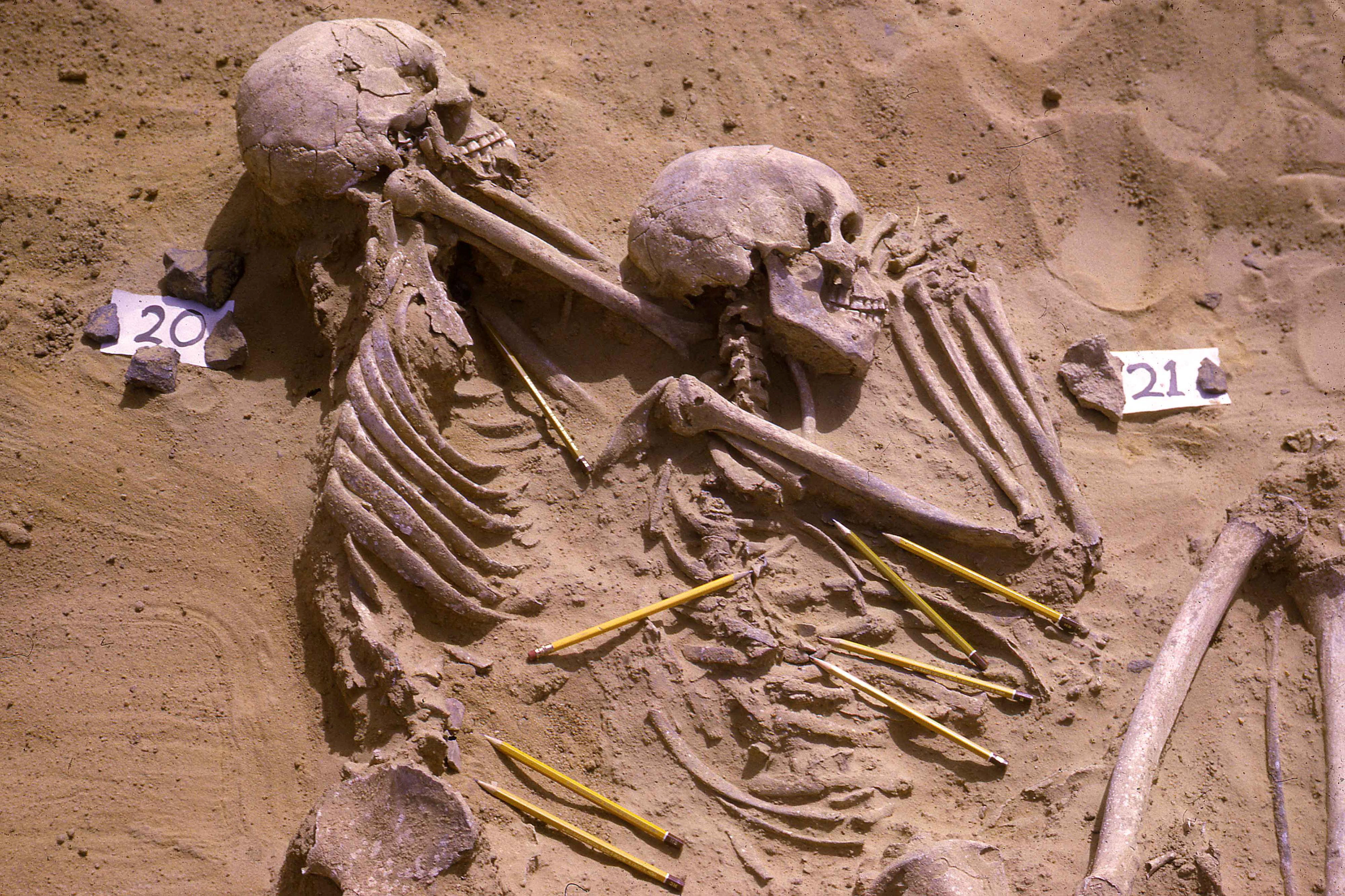 Prehistoric cemetery in Sudan shows war has been hell forever | Reuters