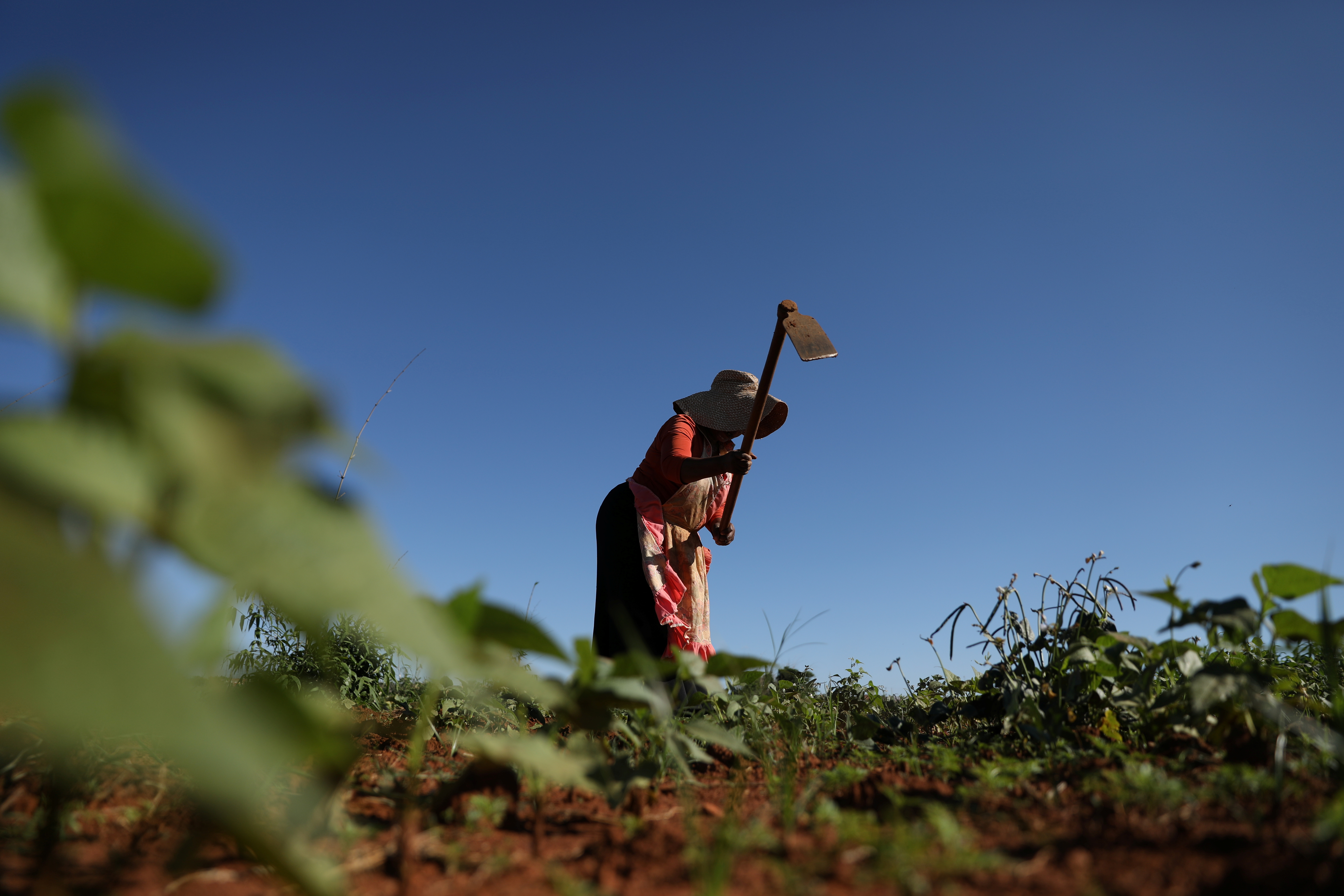 NobuthoThethani, a local farmer works the land at Lawley informal settlement in the south of Johannesburg
