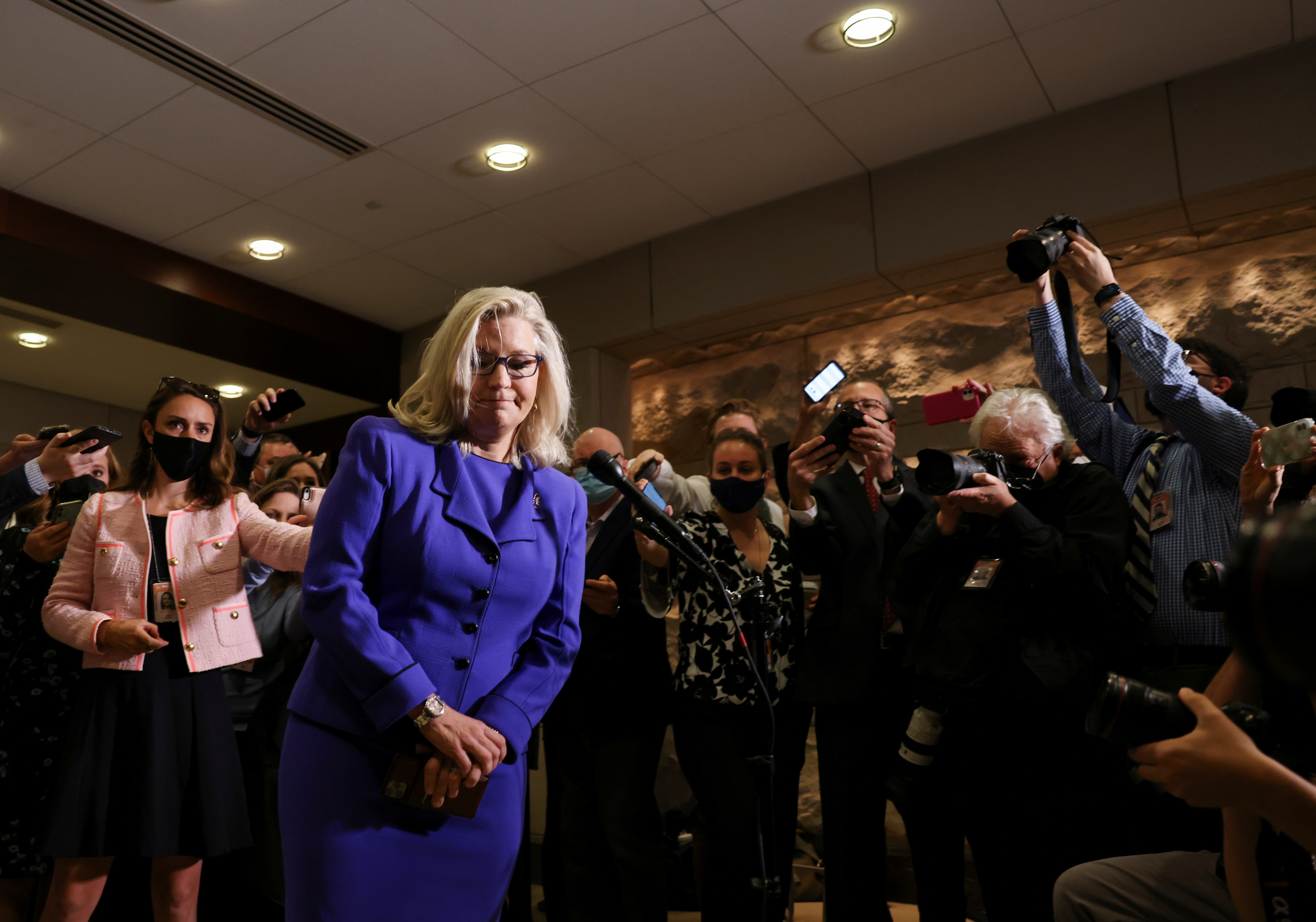 37+ Liz Cheney