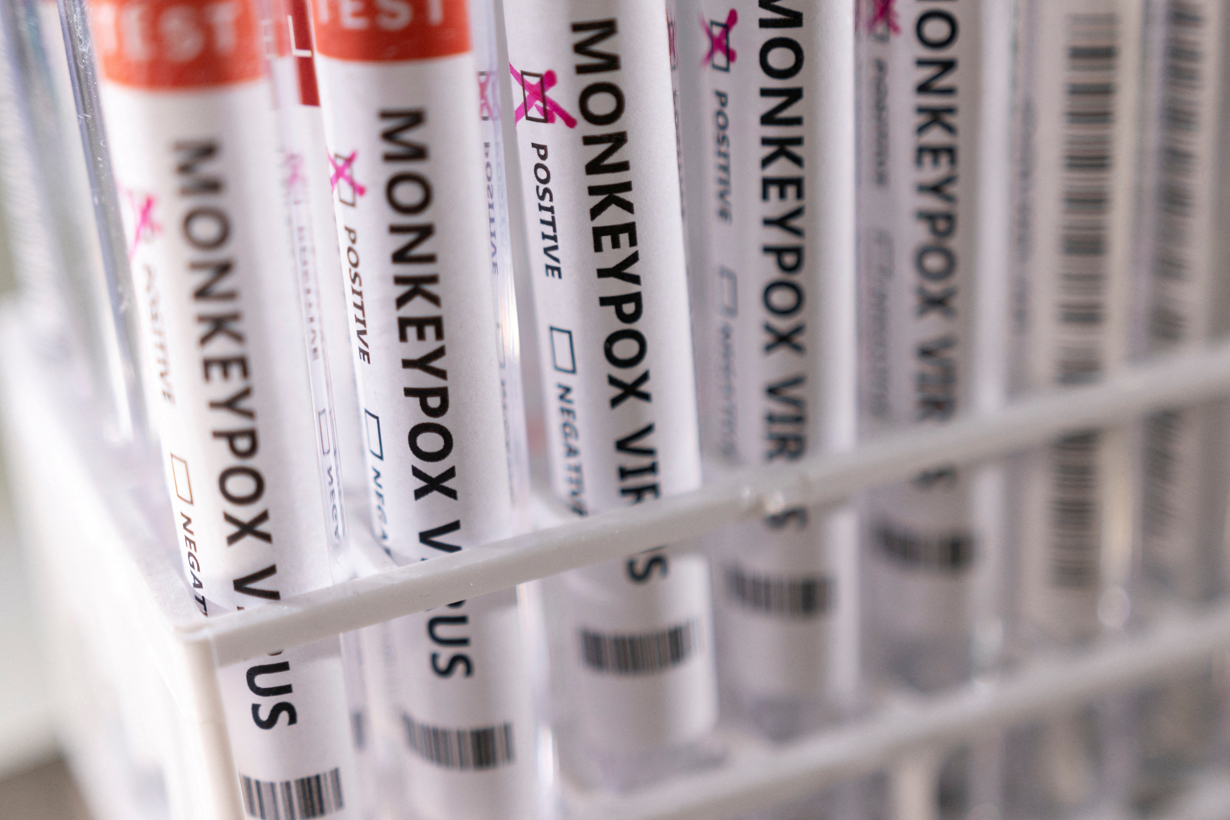Illustration shows test tubes labelled "Monkeypox virus positive\