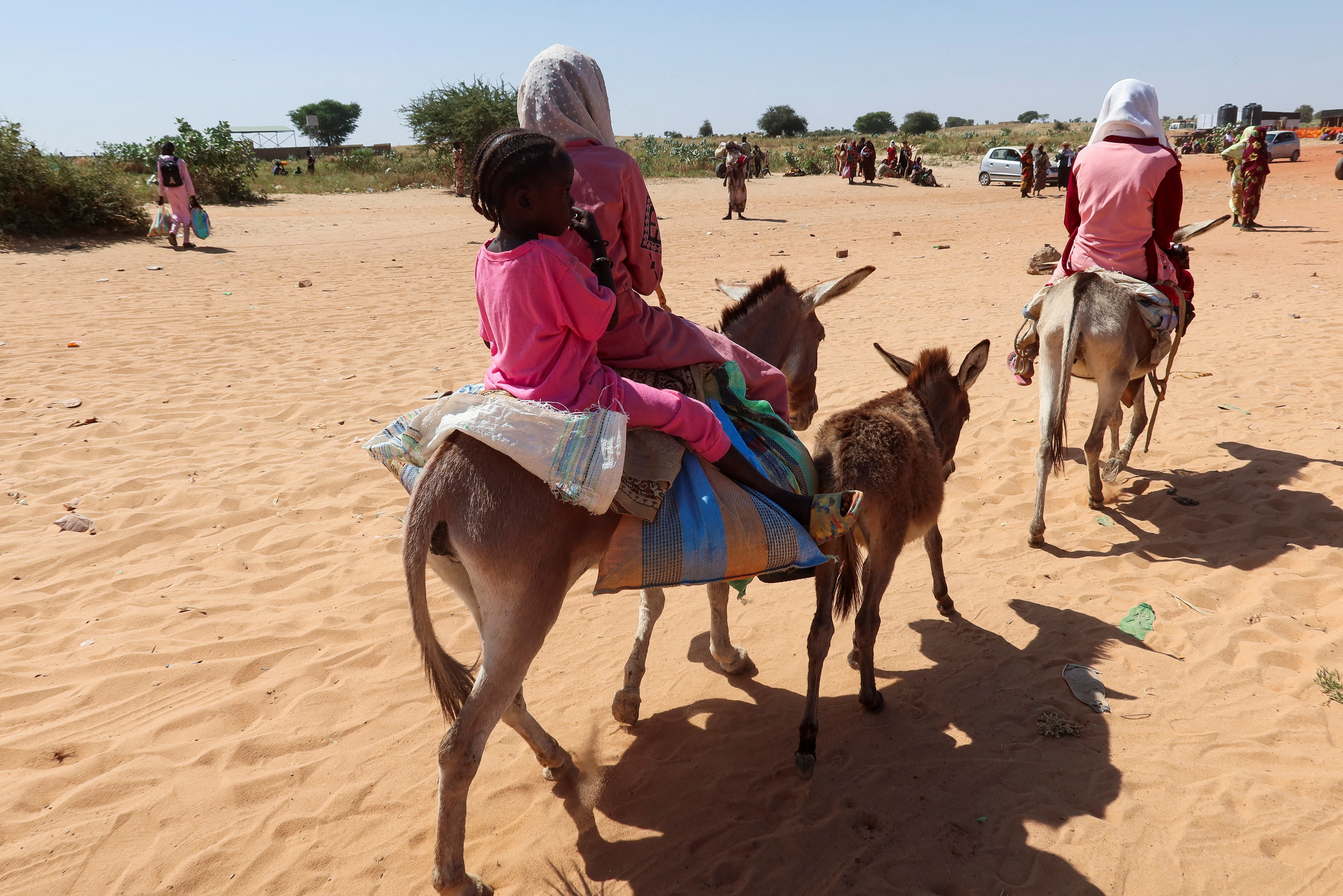 Darfur Conflict Escalates: UN Warns of Humanitarian Crisis