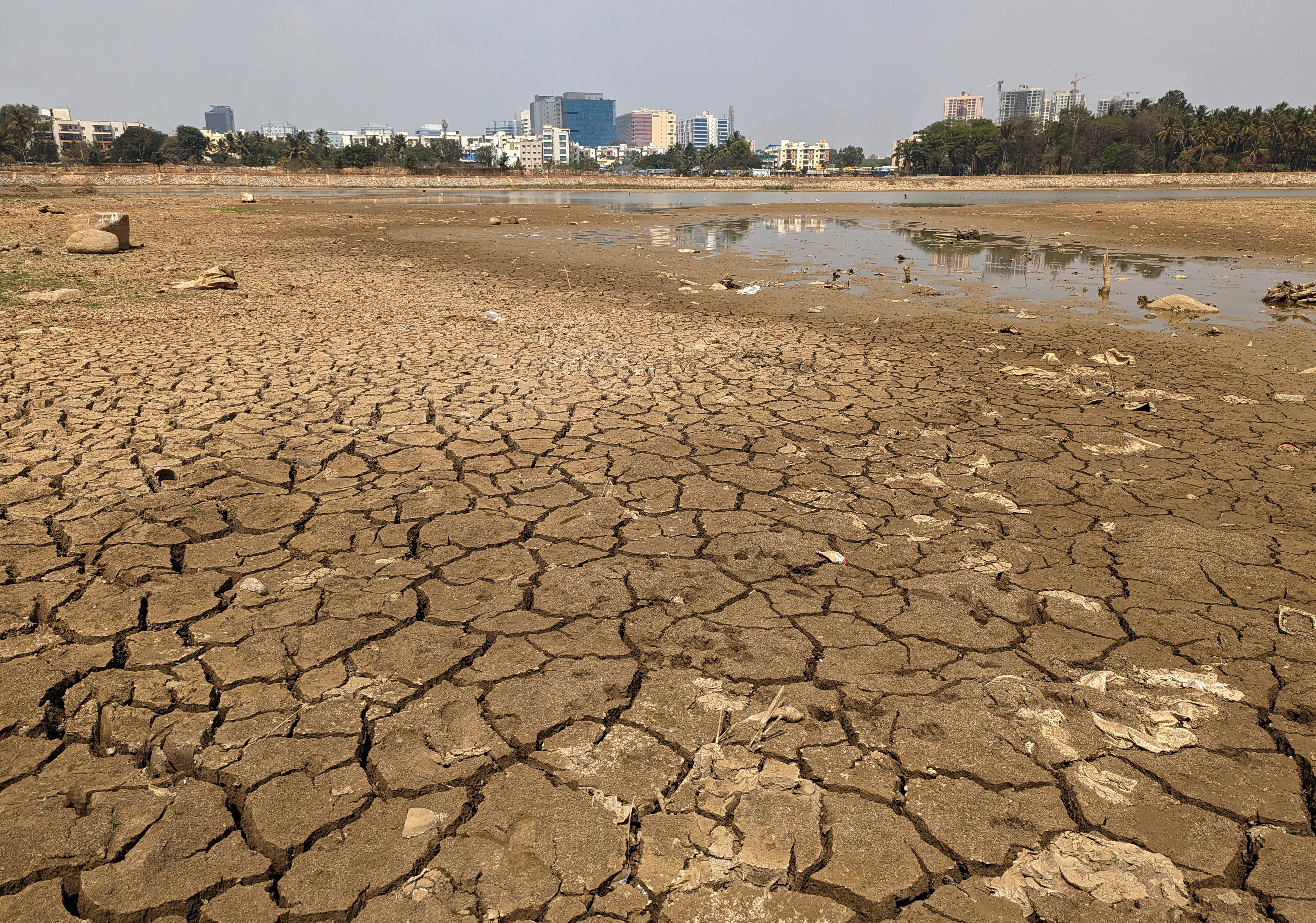 A view shows parched banks of Nallurahalli Lake, in Bengaluru