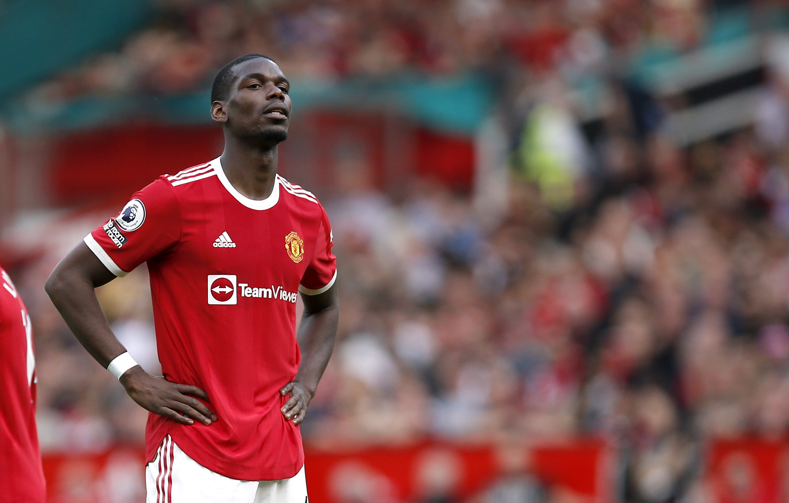 Paul Pogba  Paul pogba, Manchester united football club, Soccer players