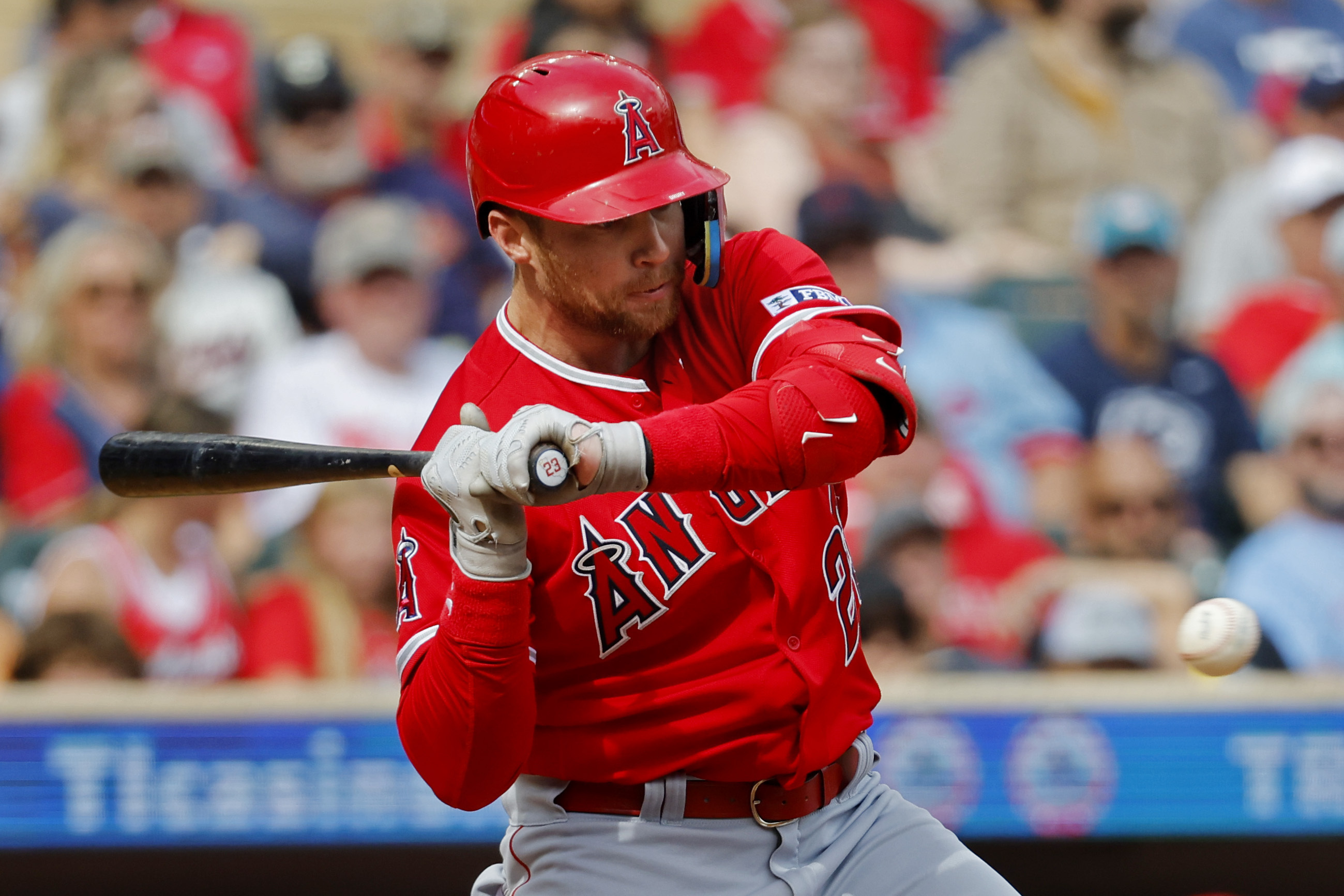 Adell homers off Gray as Angels beat AL Central champion Twins 1-0 - Newsday