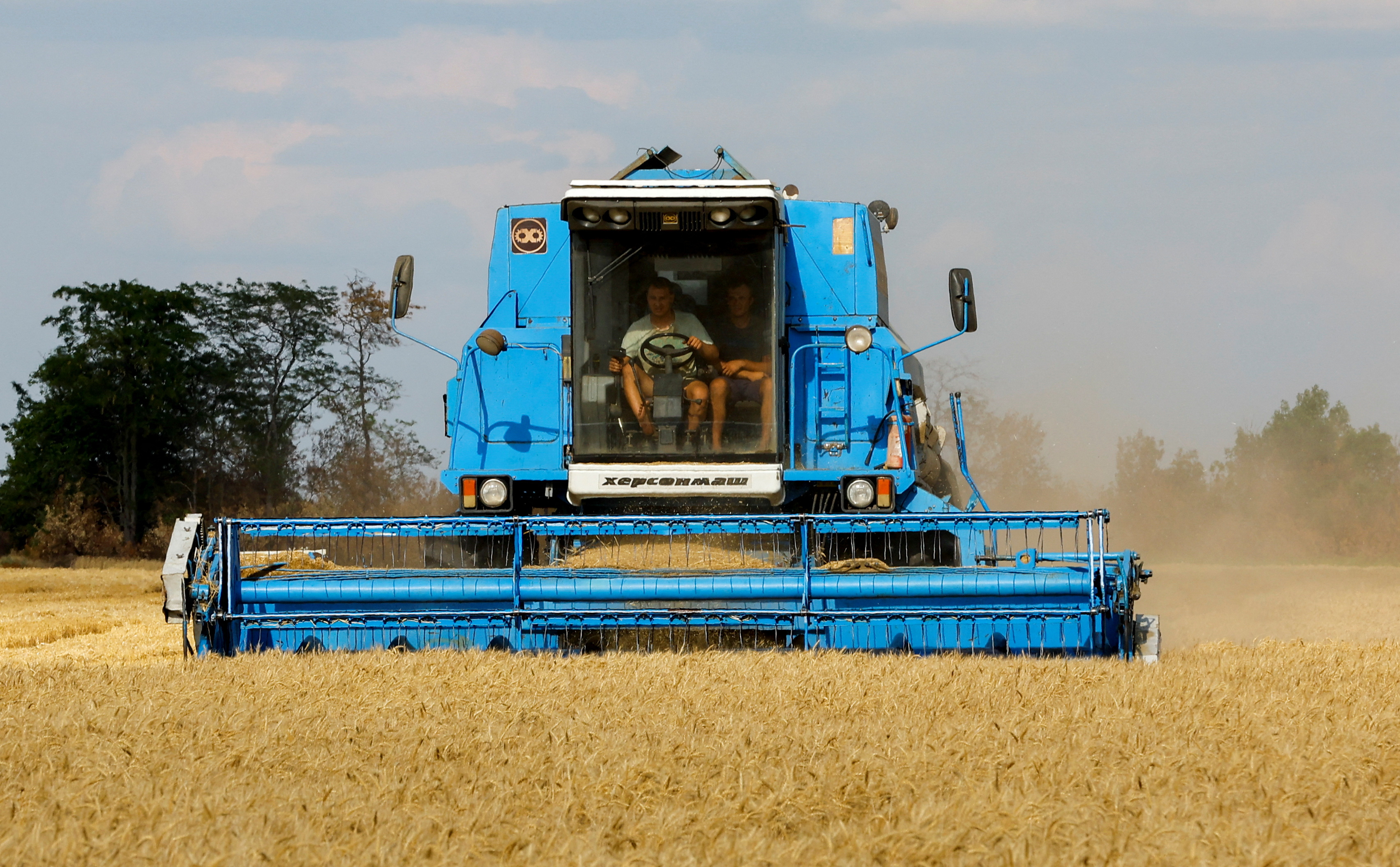 Farmers harvest wheat in Kherson region