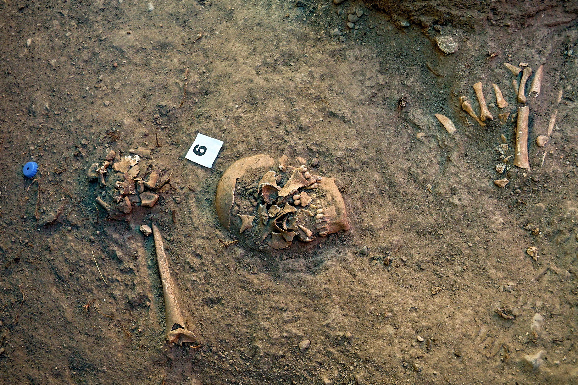 A view shows human remains discovered by archaeologists from INAH in Chapultepec park
