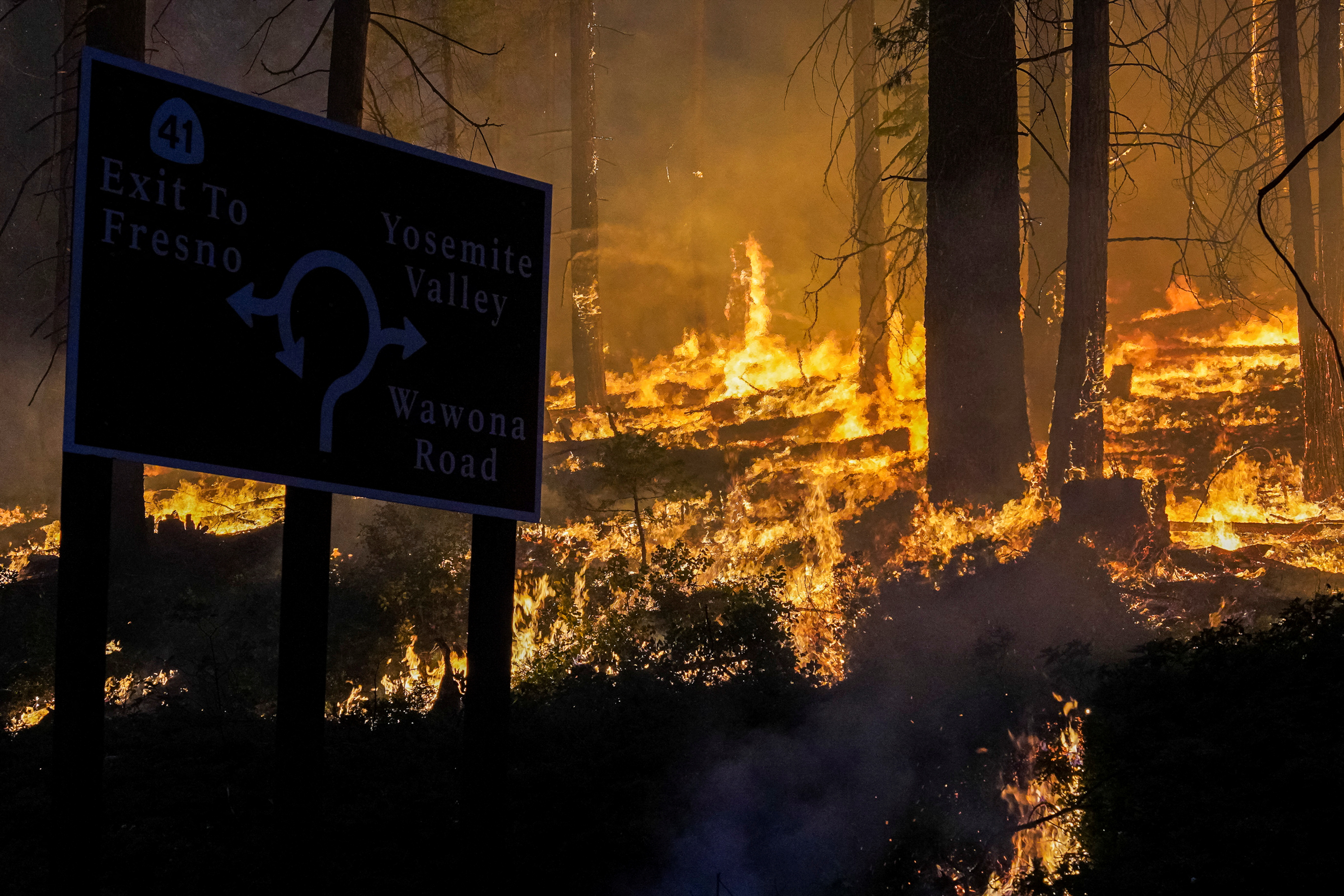 Study Says, Wildfires Are Destroying California’s Forest Carbon Credit Reserves