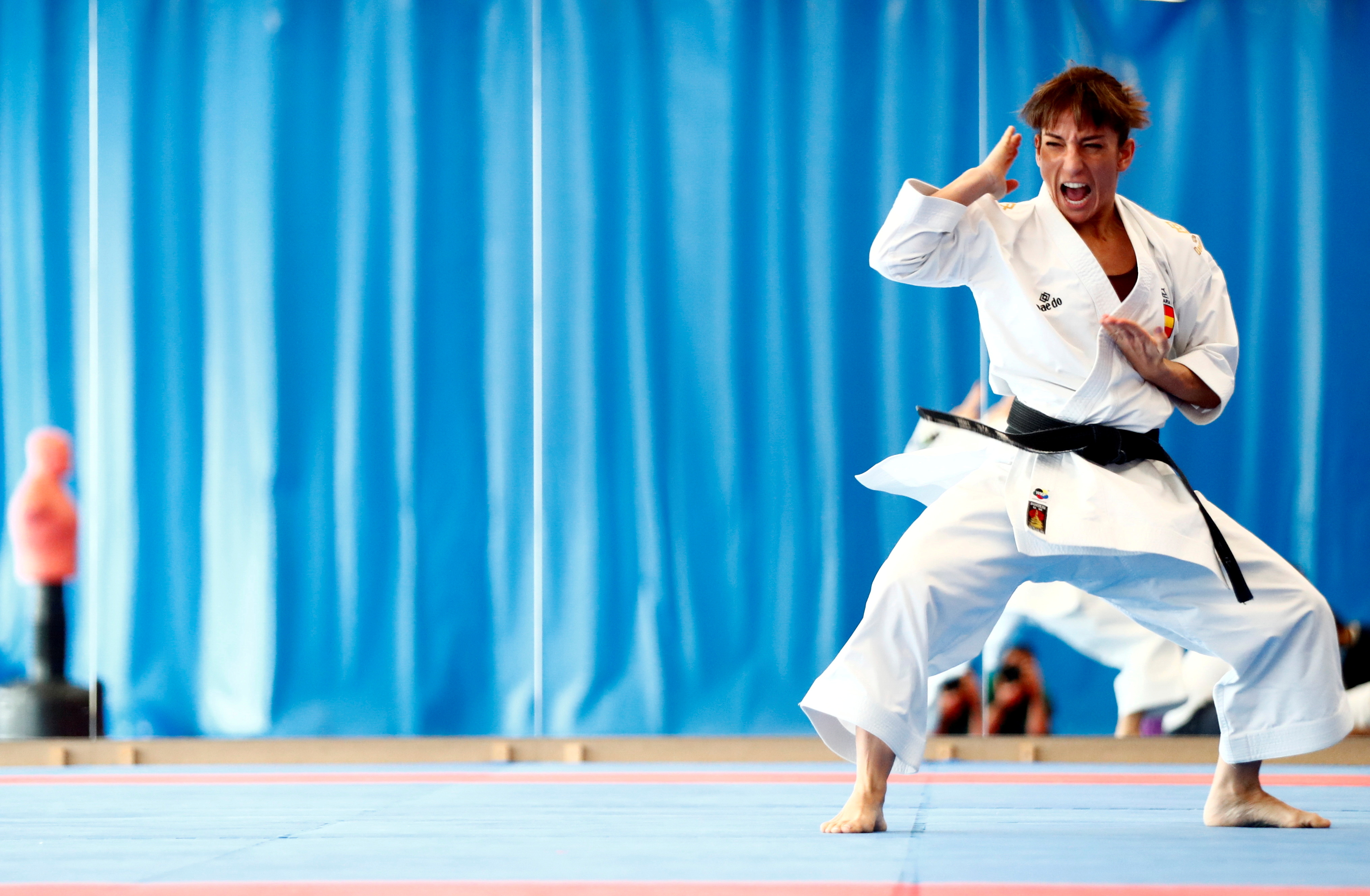 Karate poses Cut Out Stock Images & Pictures - Alamy