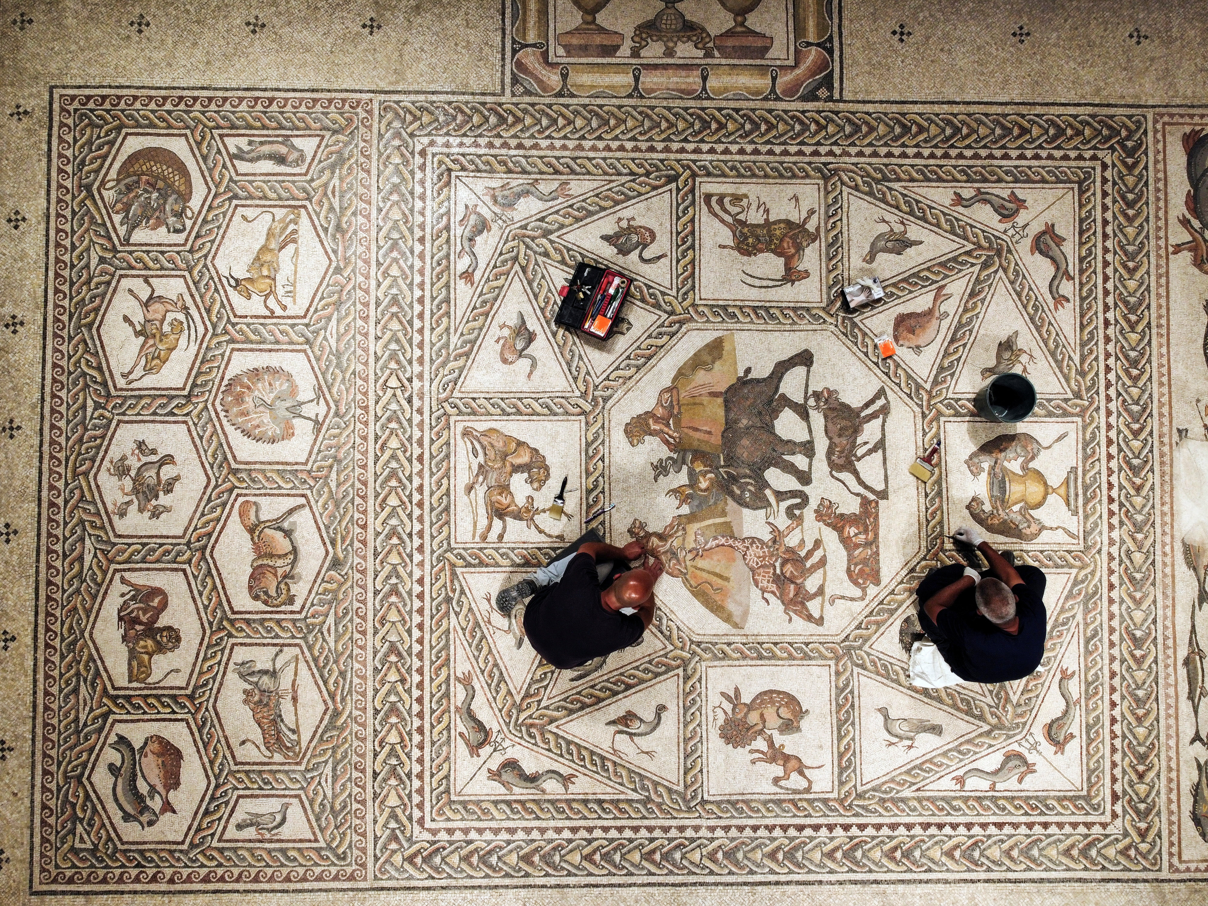 1,700-year-old Roman mosaics finally drops anchor in Israeli home