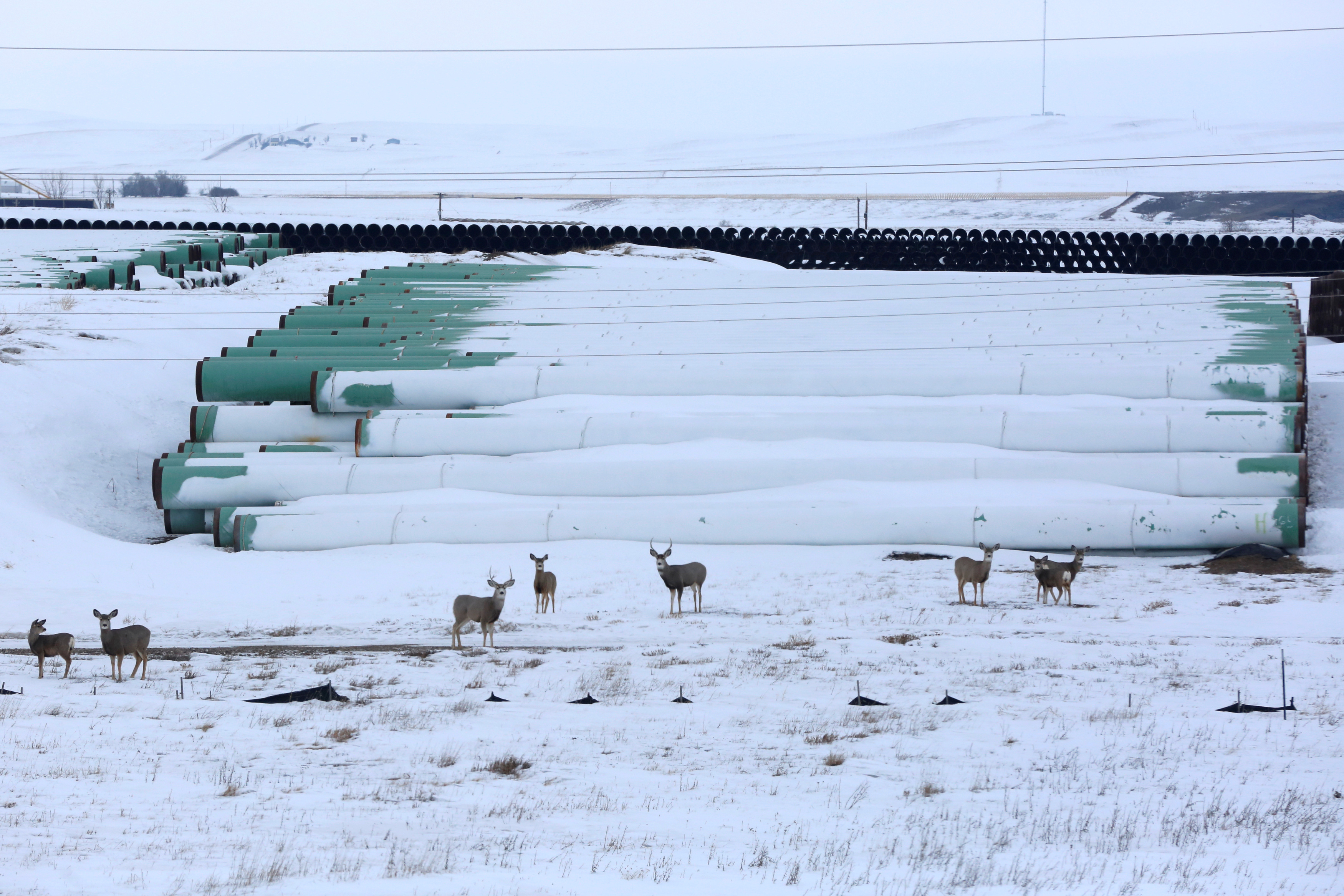 A depot used to store pipes for Transcanada Corp's planned Keystone XL oil pipeline is seen in Gascoyne, North Dakota, January 25, 2017.  REUTERS/Terray Sylvester/File Photo