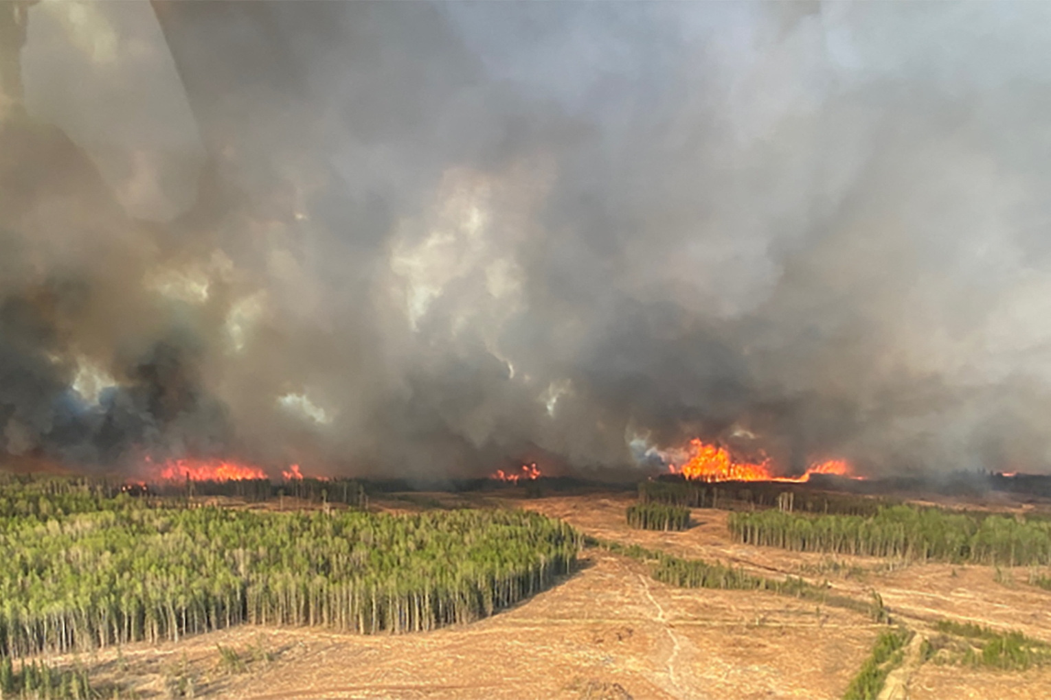 Alberta Declares State Of Emergency Over Wildfires | Reuters