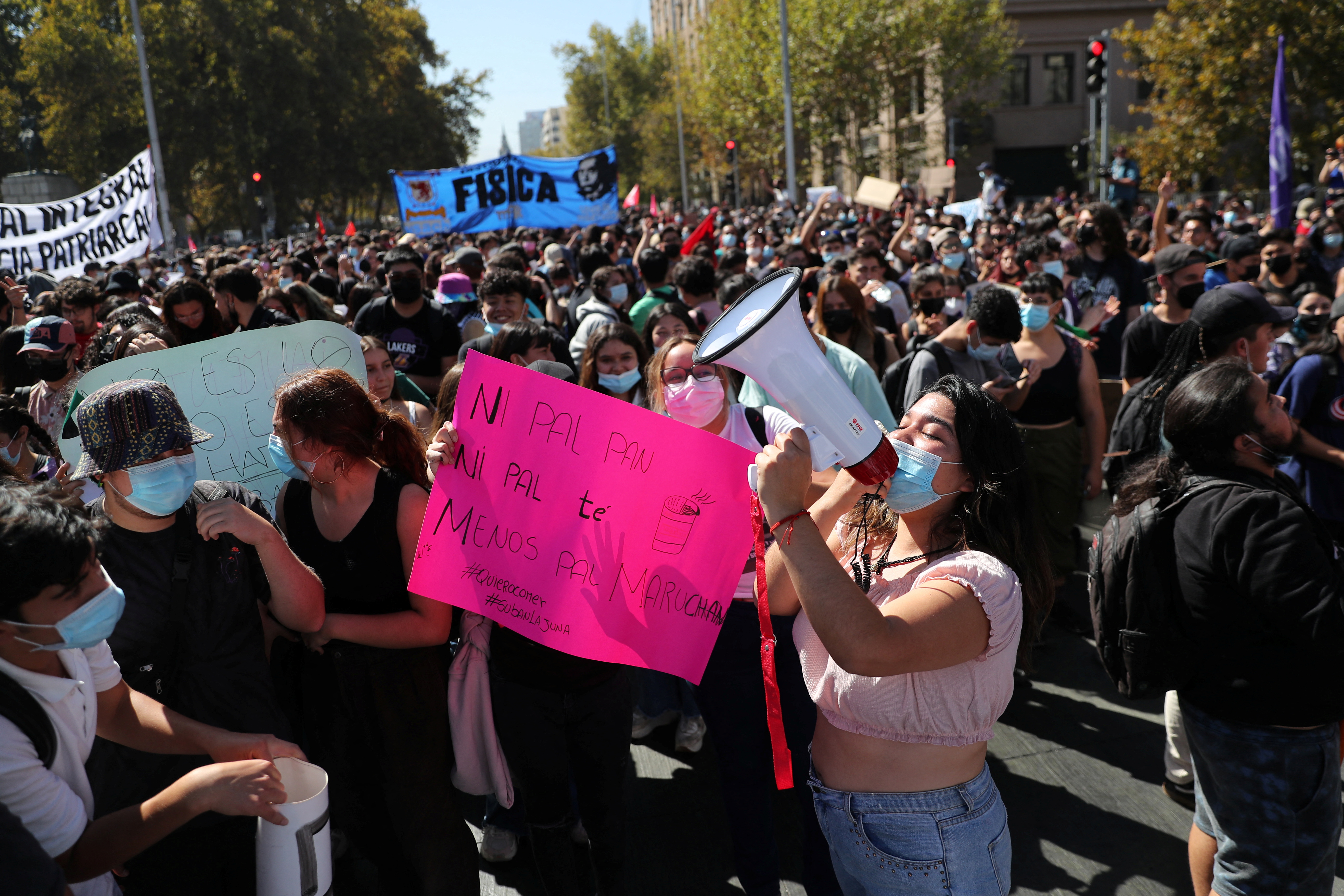 Protest march demanding to increase scholarships, in Santiago