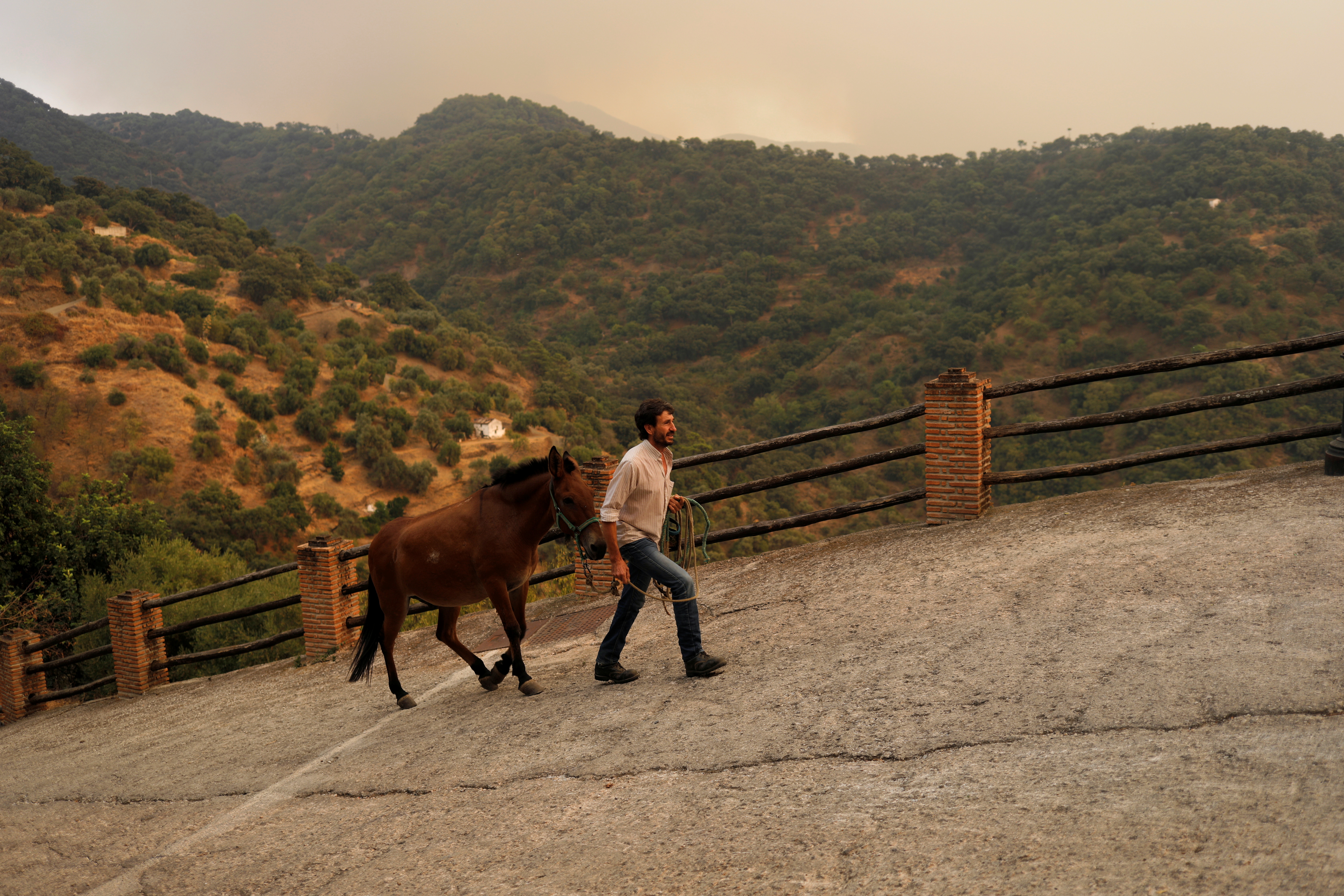 A man leads his horse from a field to a stable following an alert recommendation for residents to stay in their houses due to the smoke cloud from a wildfire on Sierra Bermeja mountain, in Genalguacil, near Estepona, Spain, September 11, 2021. REUTERS/Jon Nazca