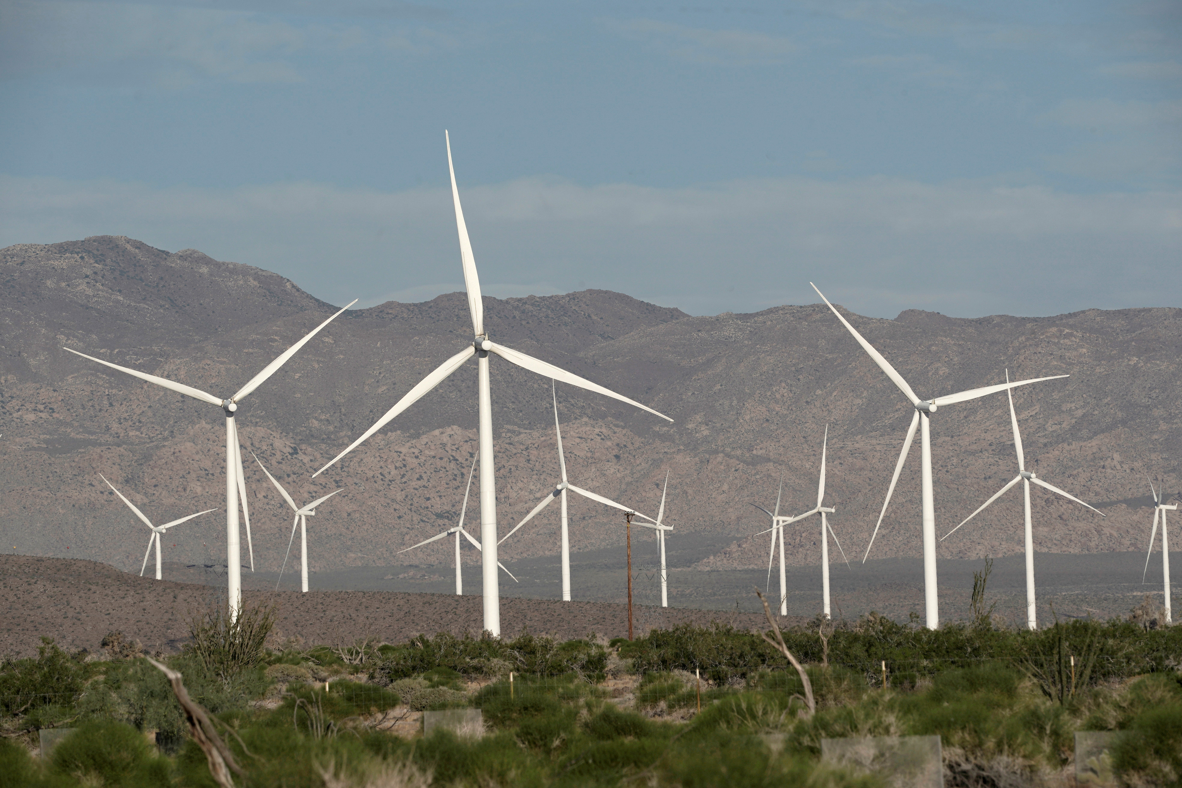 Power-generating Siemens 2.37 megawatt (MW) wind turbines are seen at the Ocotillo Wind Energy Facility  California, U.S., May 29, 2020.  REUTERS/Bing Guan