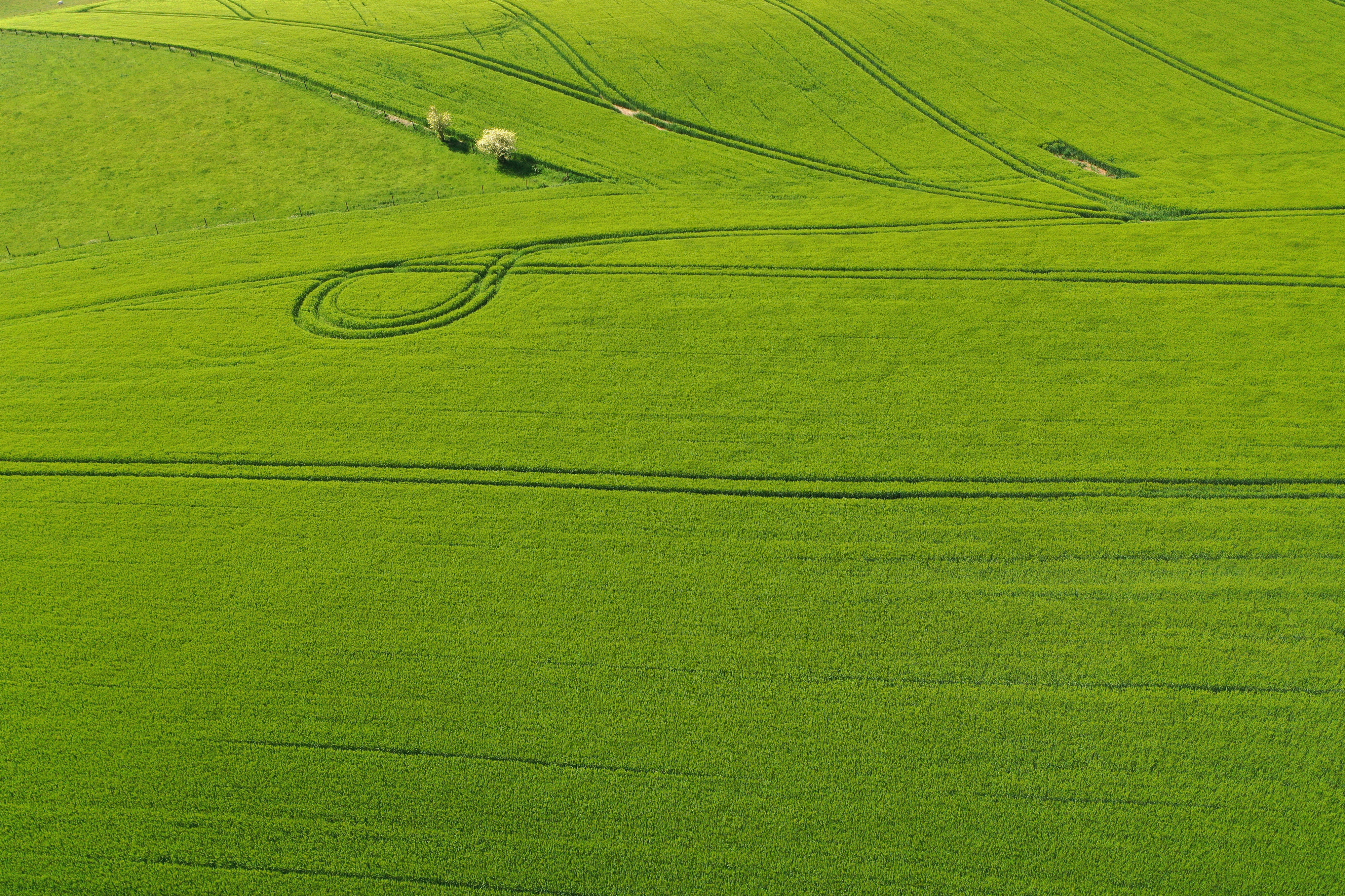 An aerial view shows a green barley field in Bonavis