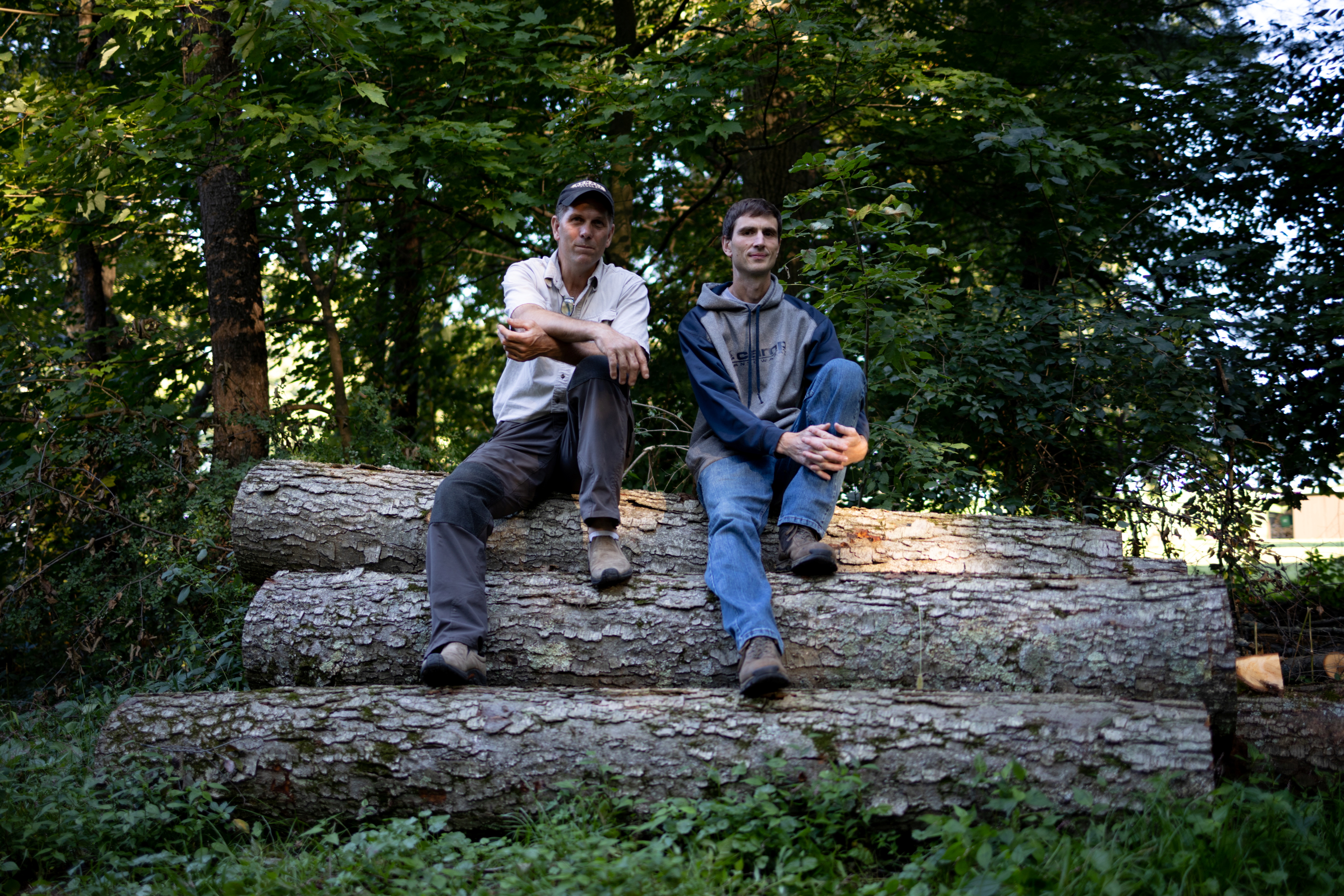 After 9/11, two arborists joined the grim task of collecting evidence in the woods of Shanksville