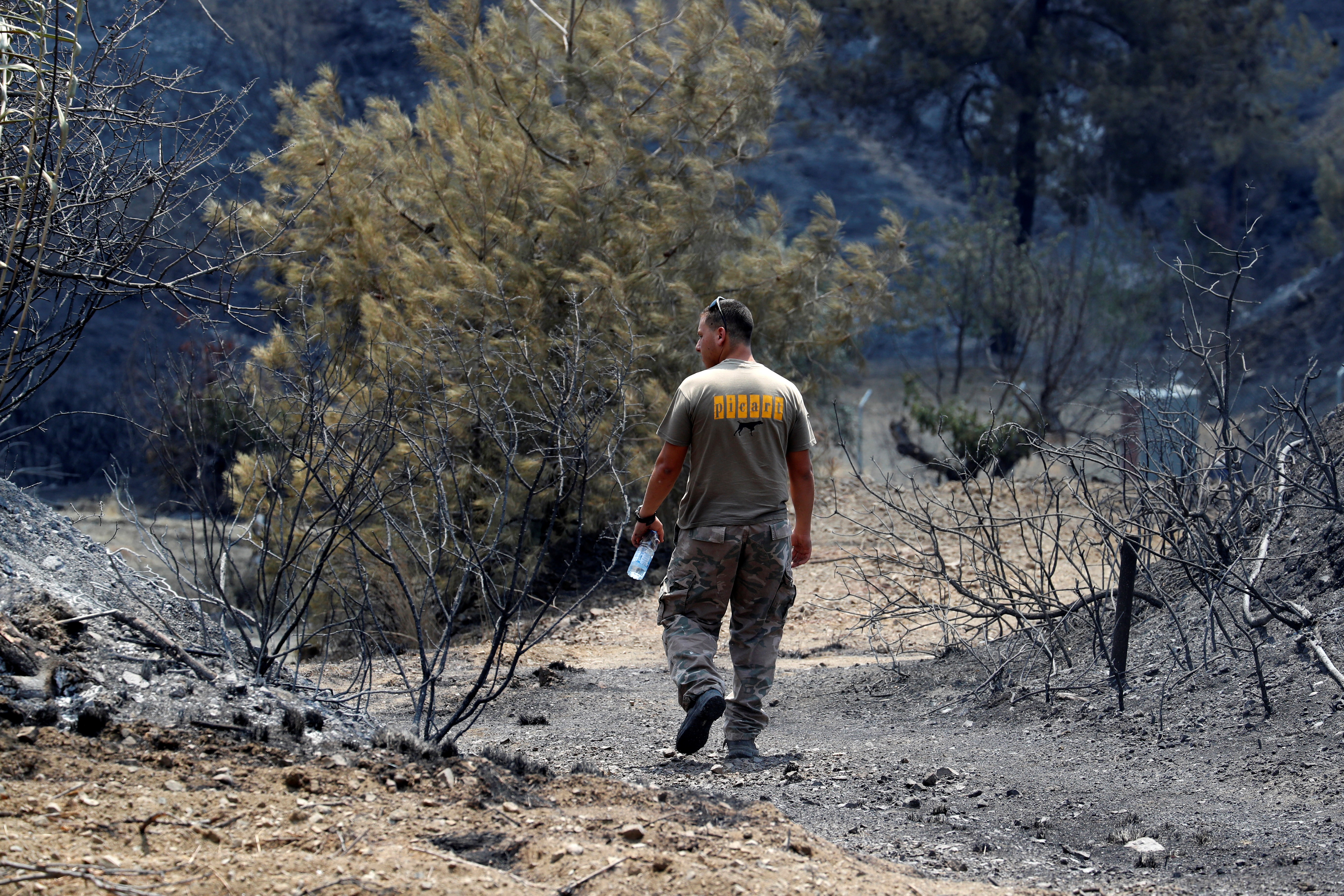 A man walks next to burned trees following a wildfire near the village of Ora, in the Larnaca mountain region