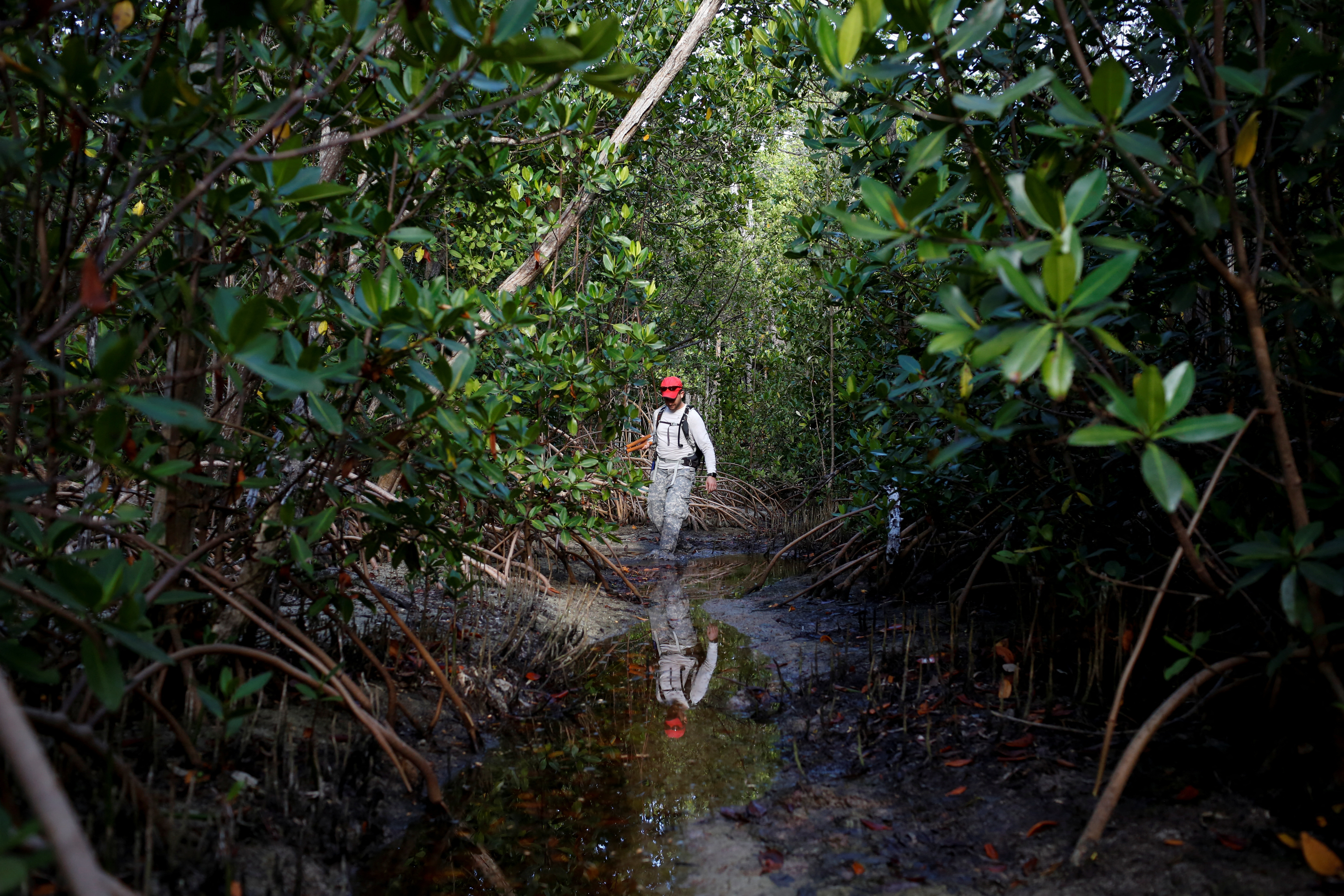 Andrew Otazo has dedicated his free time to removing over 10 tons of trash from South Florida's mangrove forests