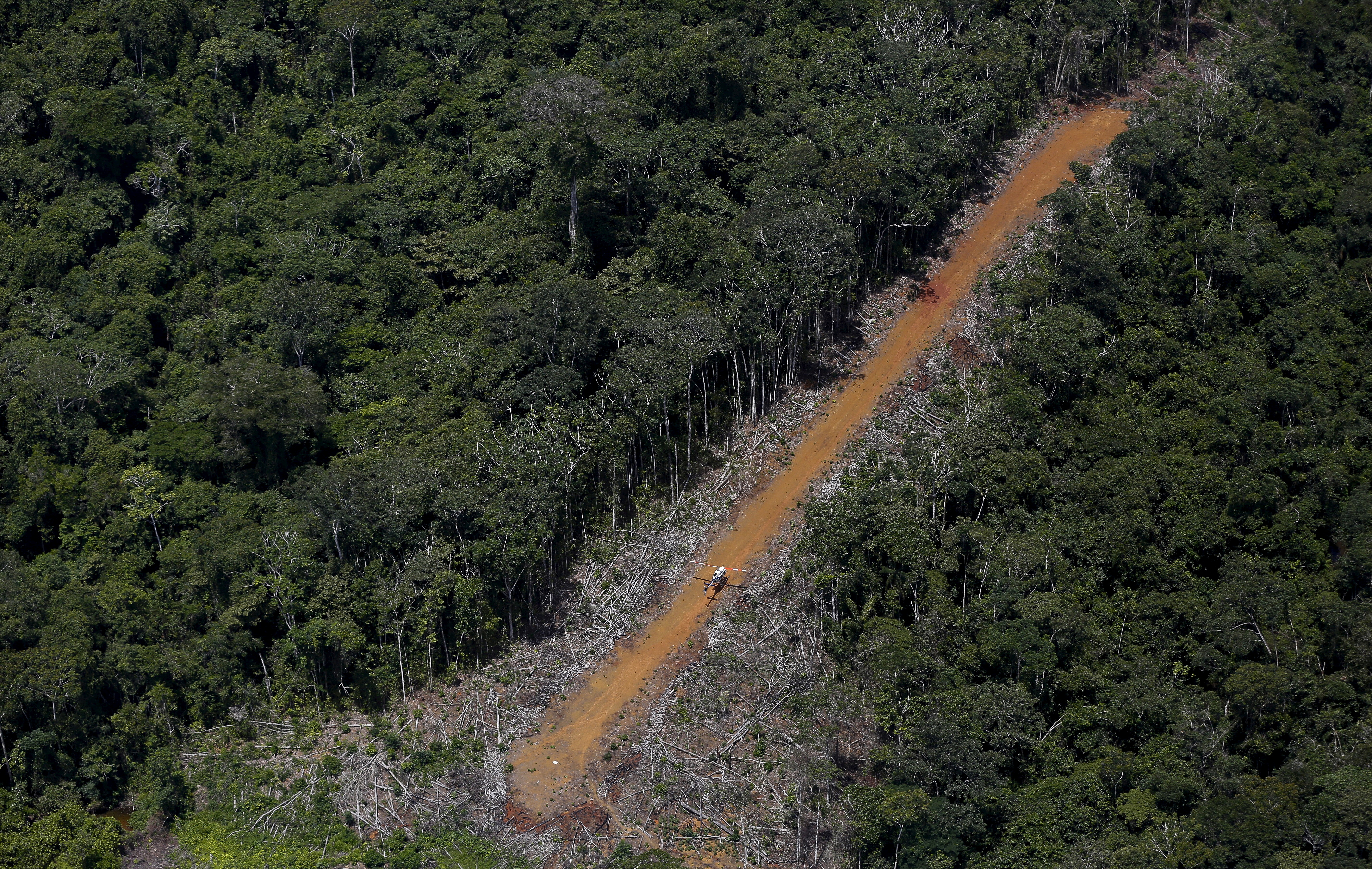 Illegal gold mining booms in Brazilian , harming environment