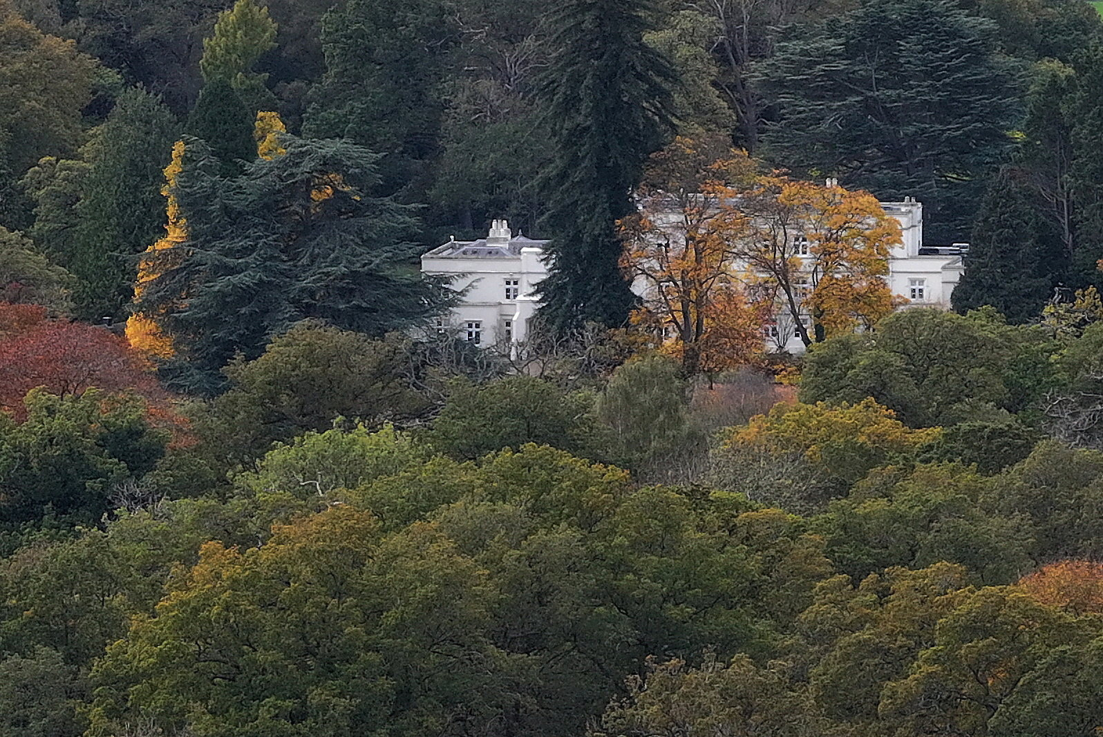 Prince Andrew's Royal Lodge in Windsor