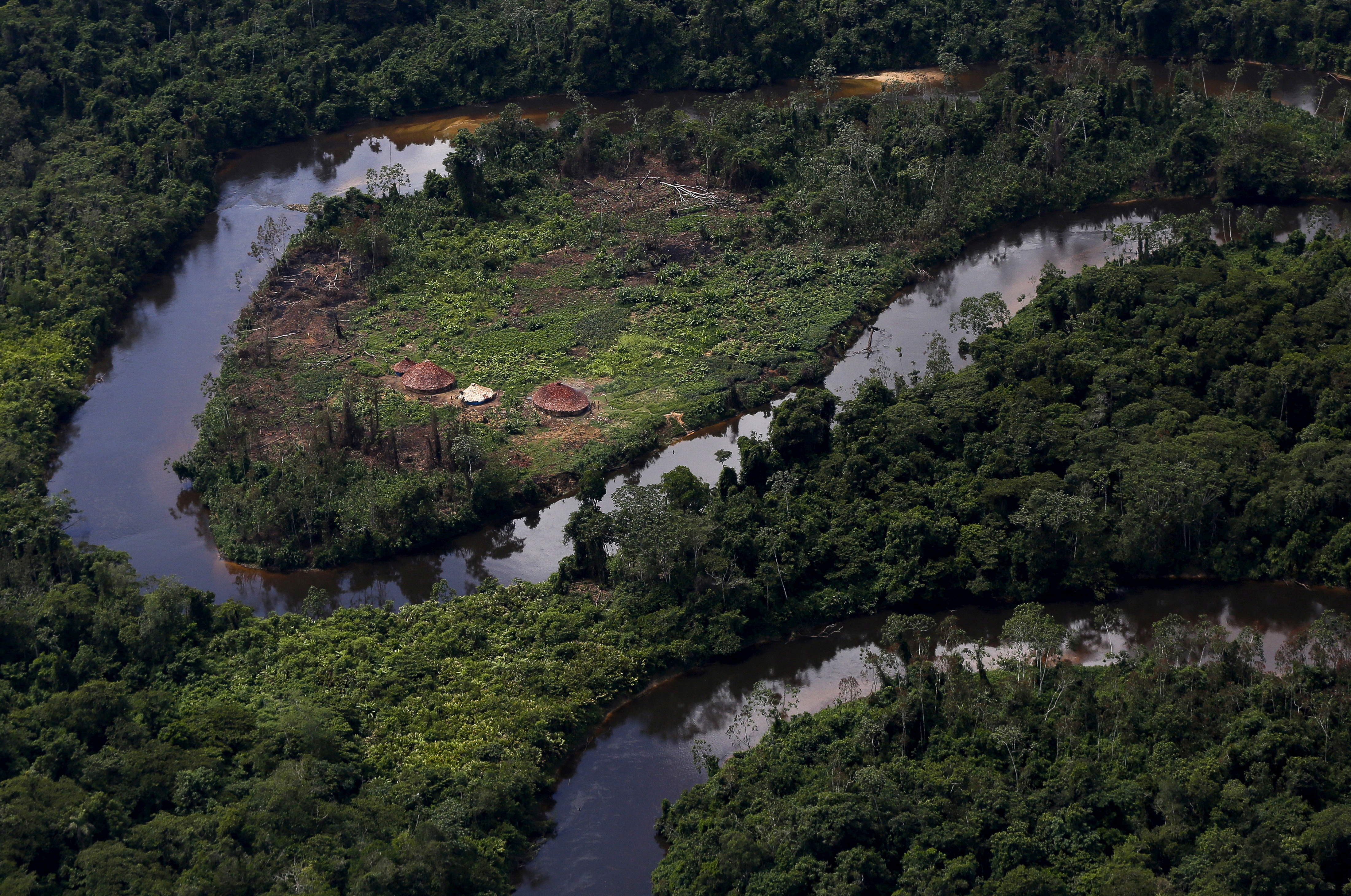 Illegal gold mining booms in Brazilian , harming environment