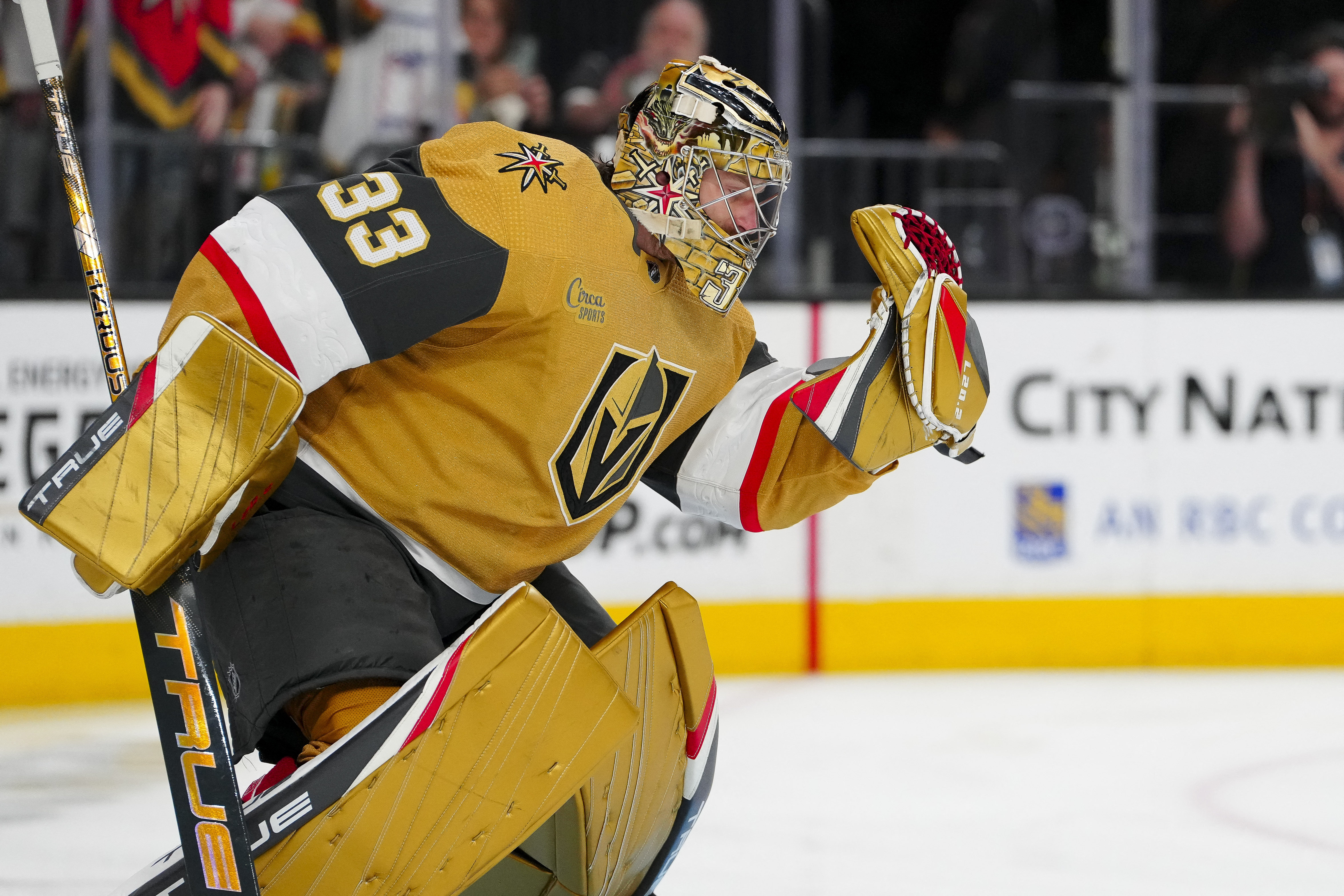 Golden Knights will have to adjust to new goalie pad rules, Golden Knights/ NHL