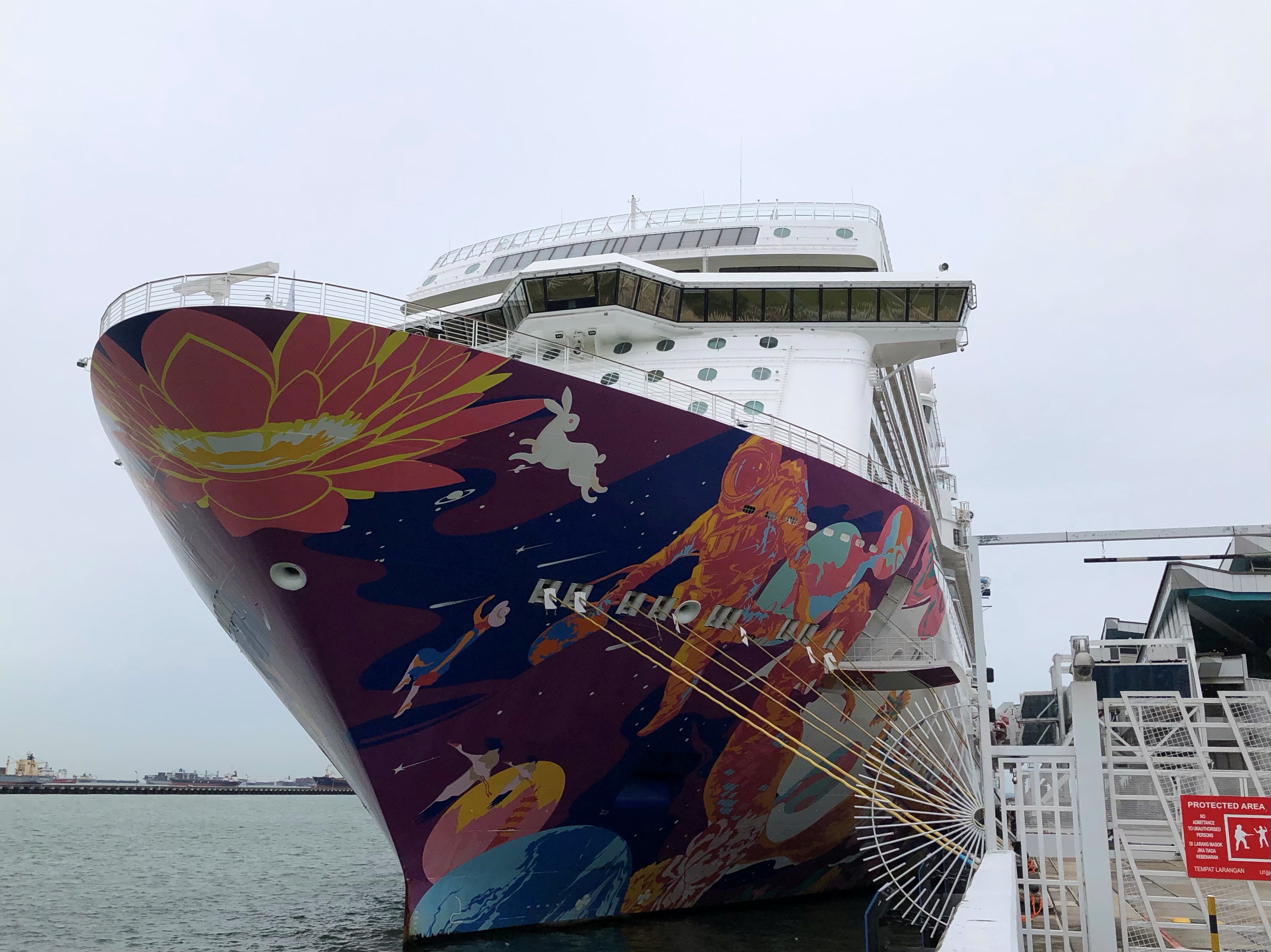 A cruise ship is docked at harbour after turning back due to positive coronavirus disease (COVID-19) case on board, in Singapore