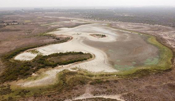 Un lago de humedales en el sur de España se está secando en medio de una severa sequía