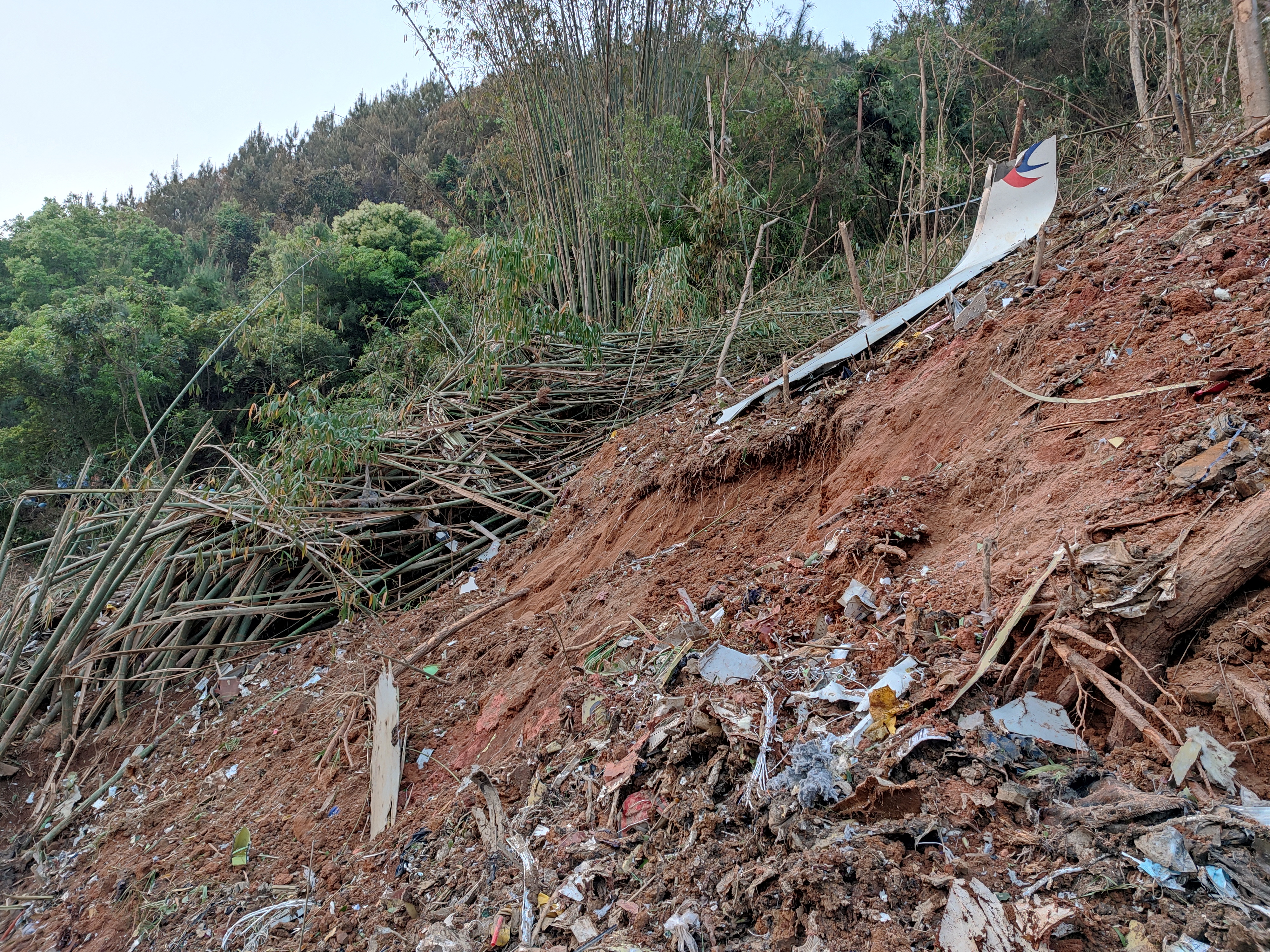 Plane debris is seen at the site where a China Eastern Airlines Boeing 737-800 plane crashed, in Wuzhou