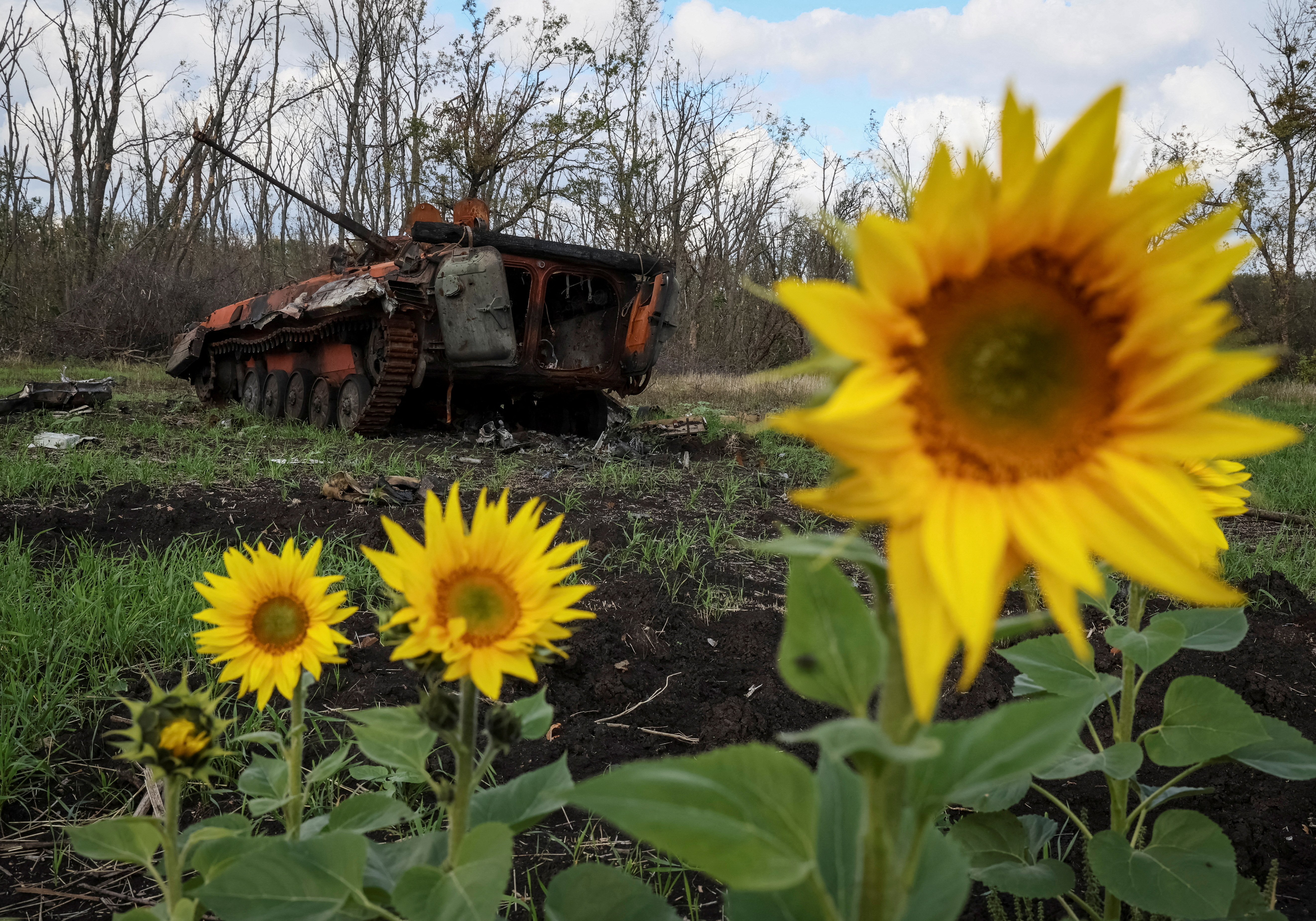 A destroyed Russian BMP-2 infantry fighting vehicle is pictured near the town of Izium