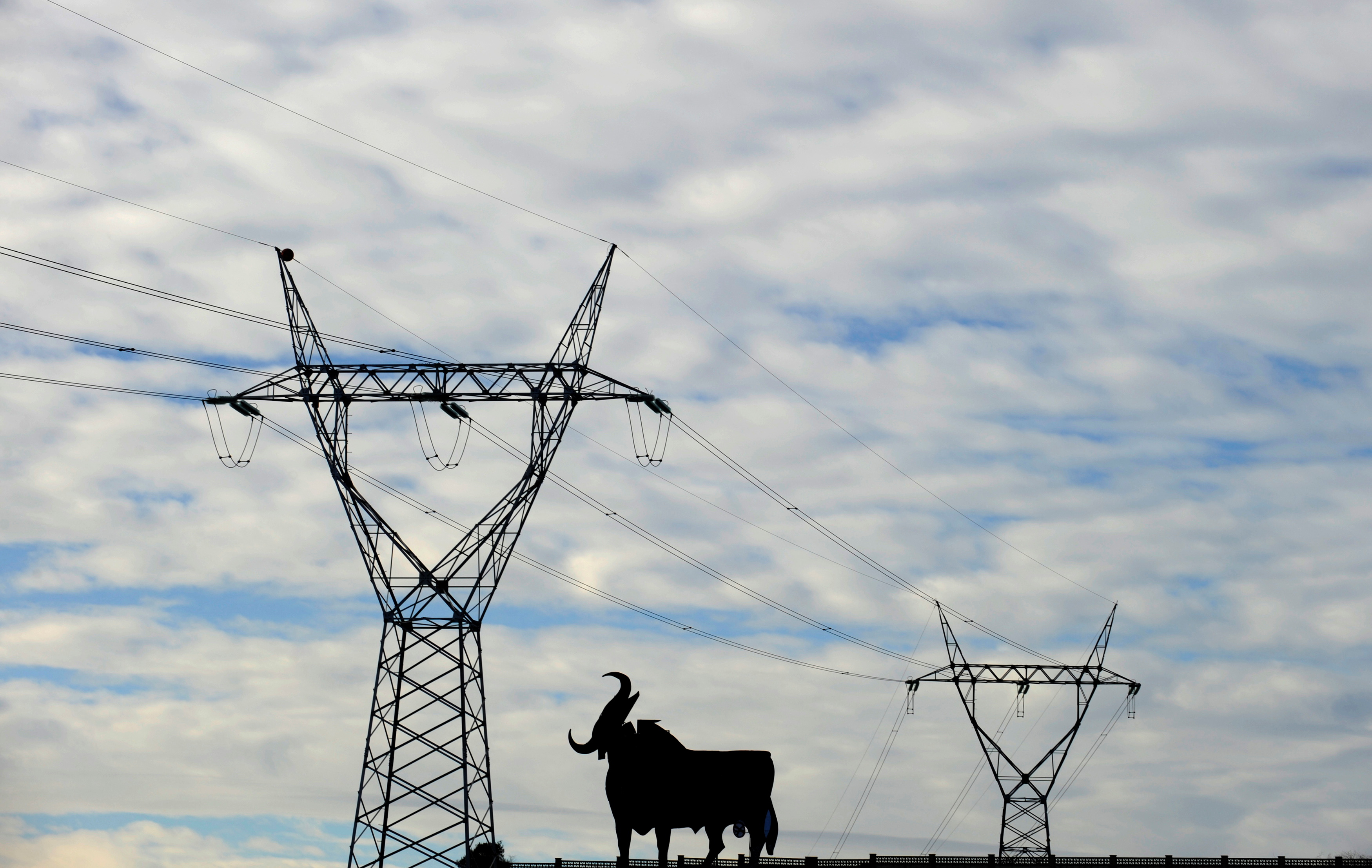 Power lines are seen near a publicity board depicting a bull in El Berron, near Oviedo,  northern Spain December 26, 2013.      REUTERS/Eloy Alonso/File Photo