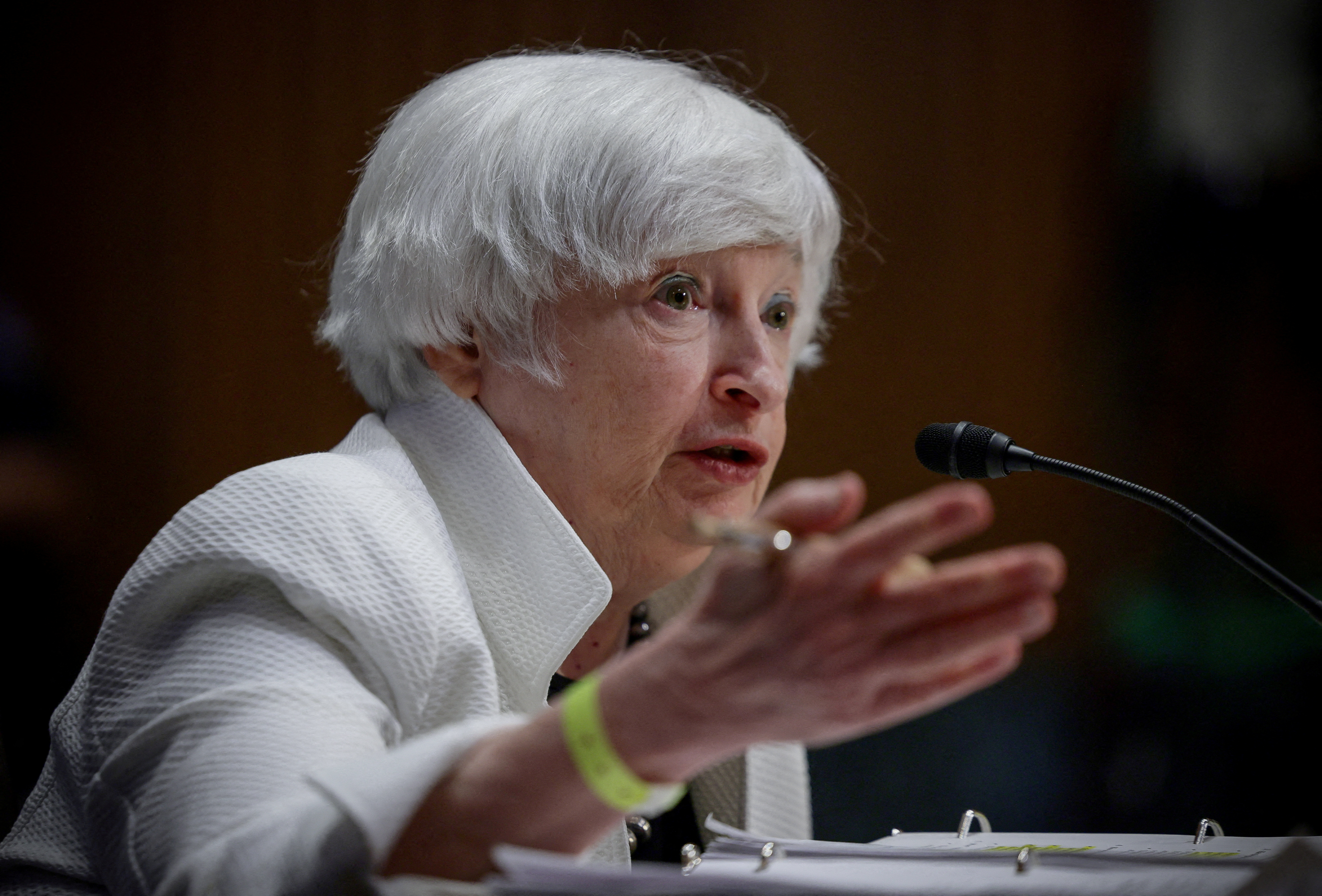 U.S. Treasury Secretary Janet Yellen testifies before Congress in Washington
