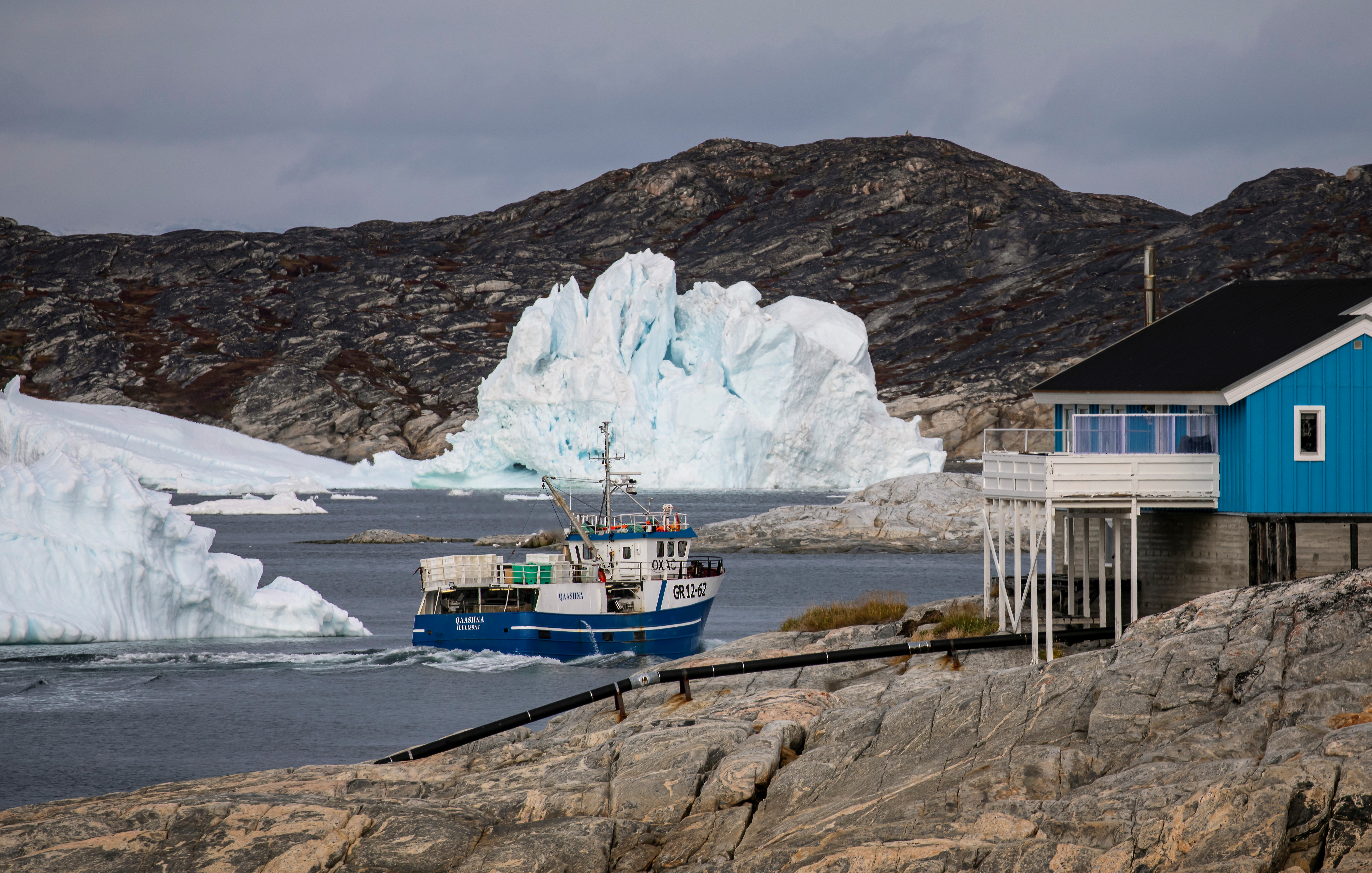 A fisher boat comes back to Ilulissat
