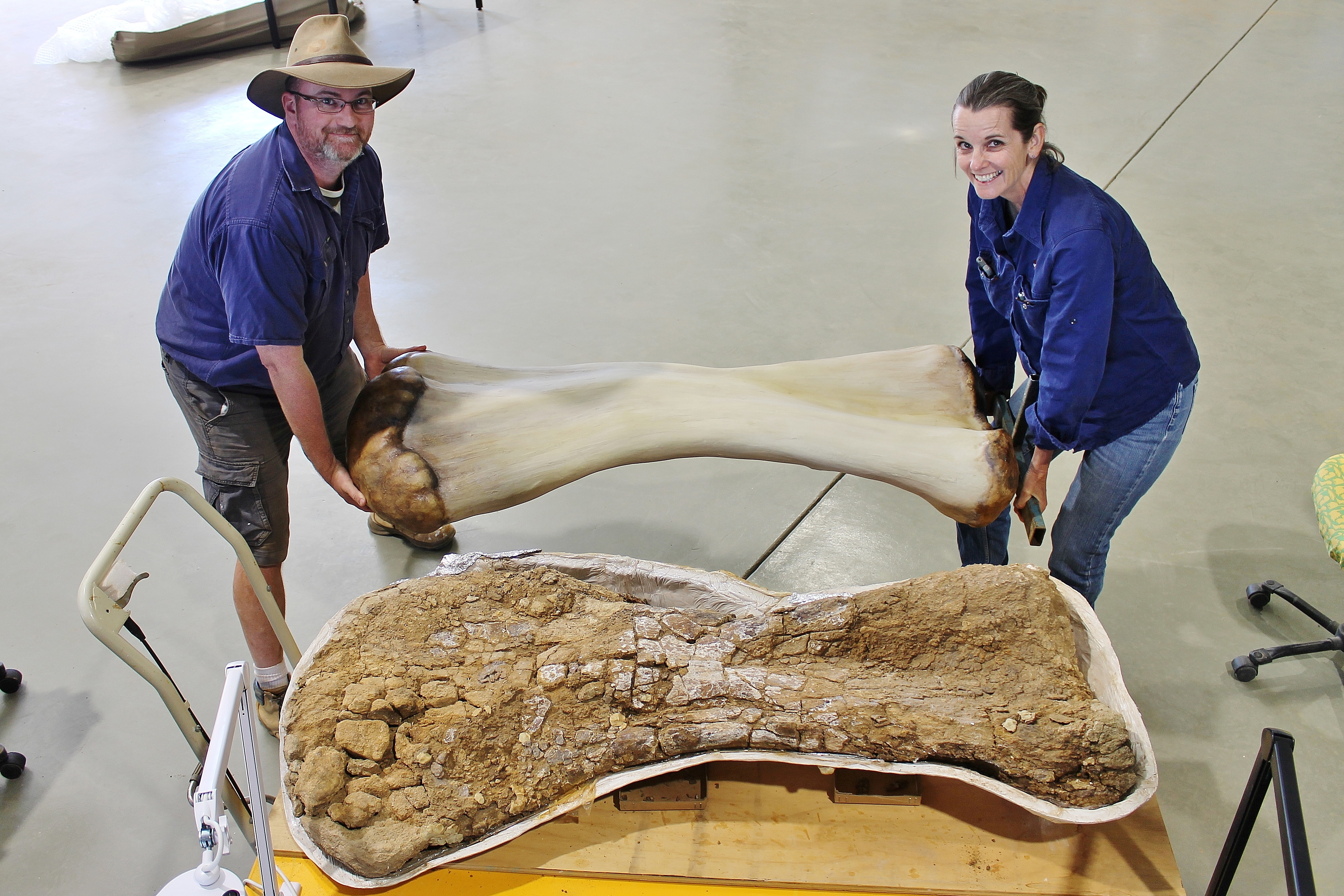 New species of dinosaur unearthed in Queensland confirmed to be largest ever found in Australia