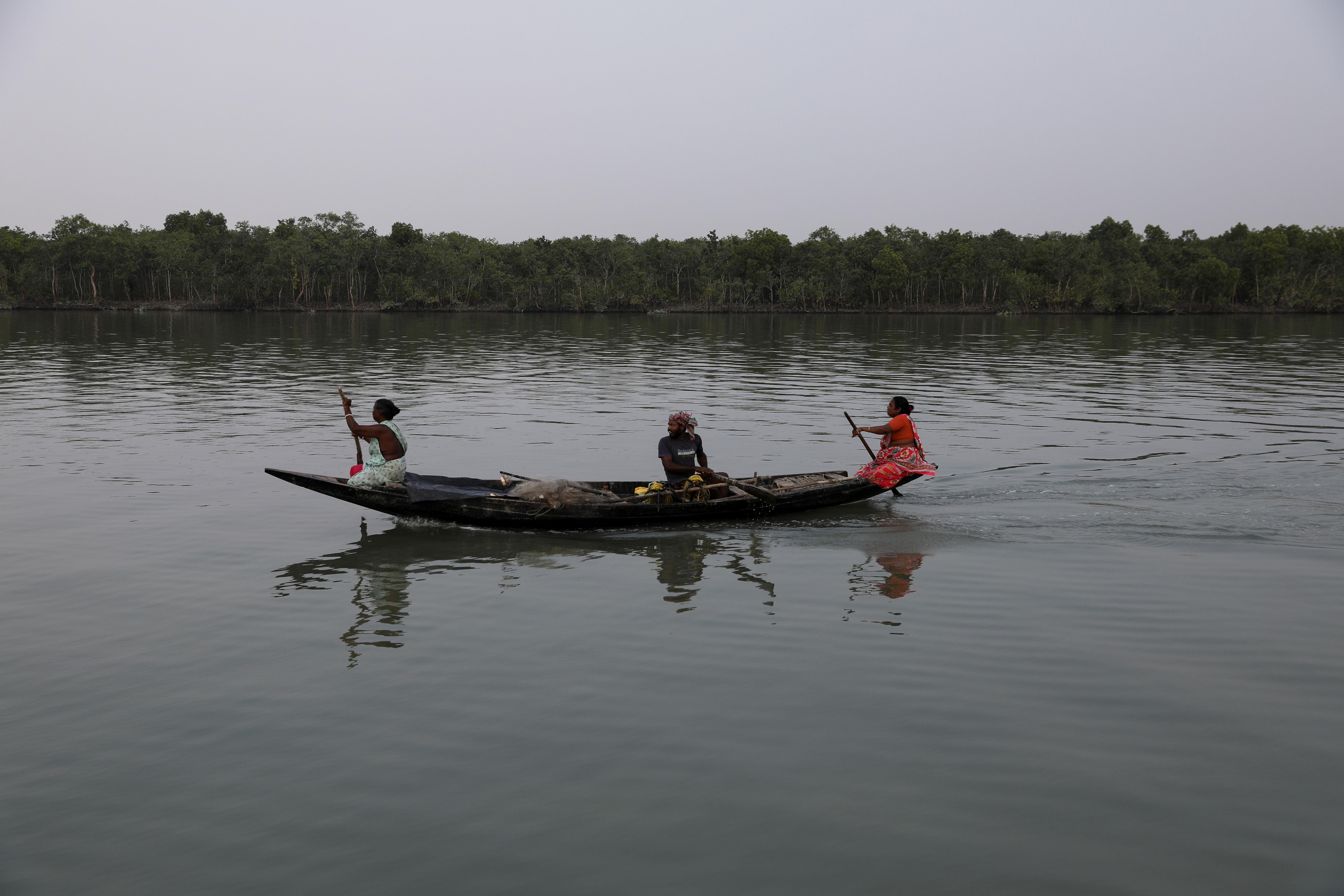 tigers stalk as storms poverty force indians deep into mangrove forests reuters