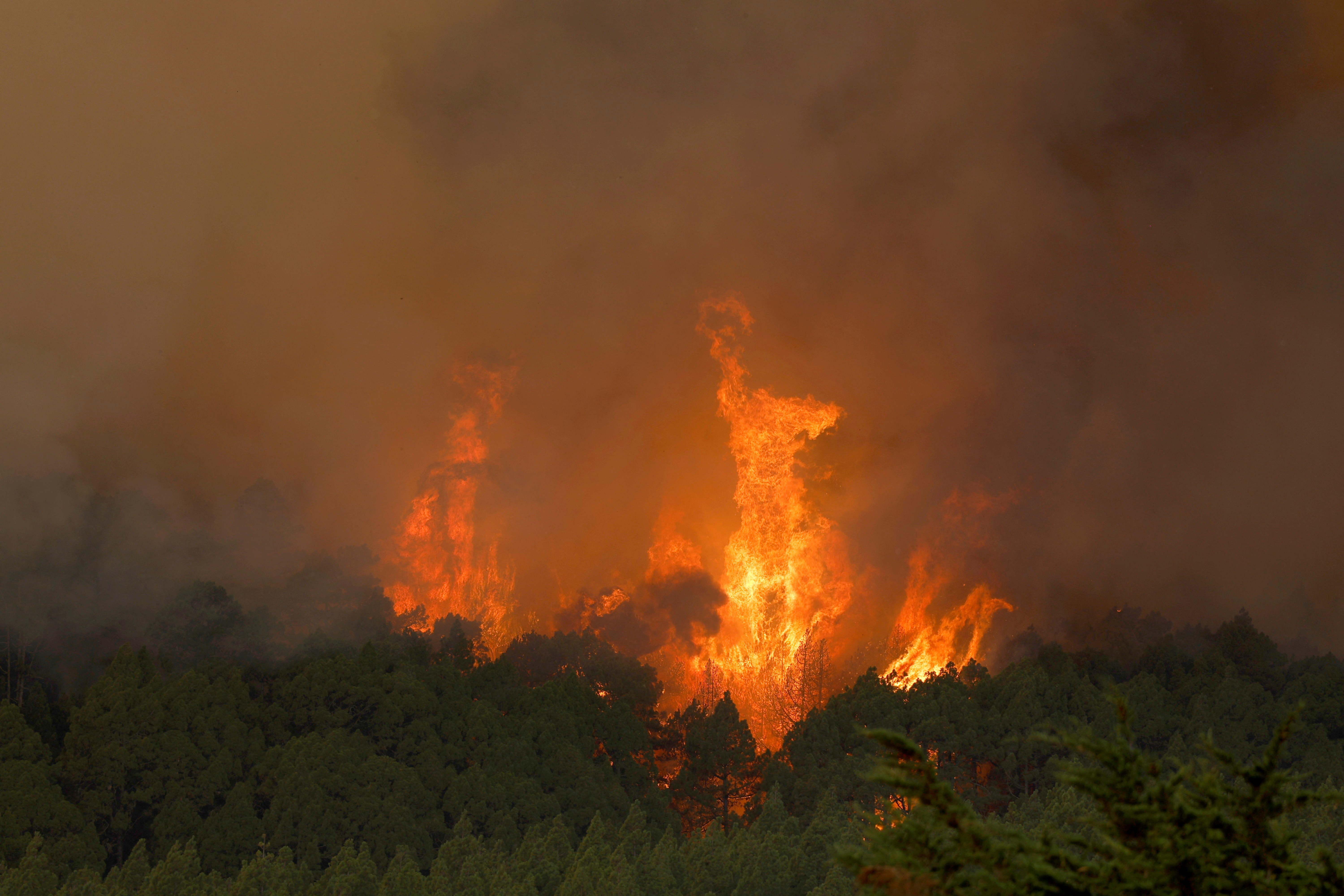 Wildfires raging in Europe: What, where and why?, Explainer News