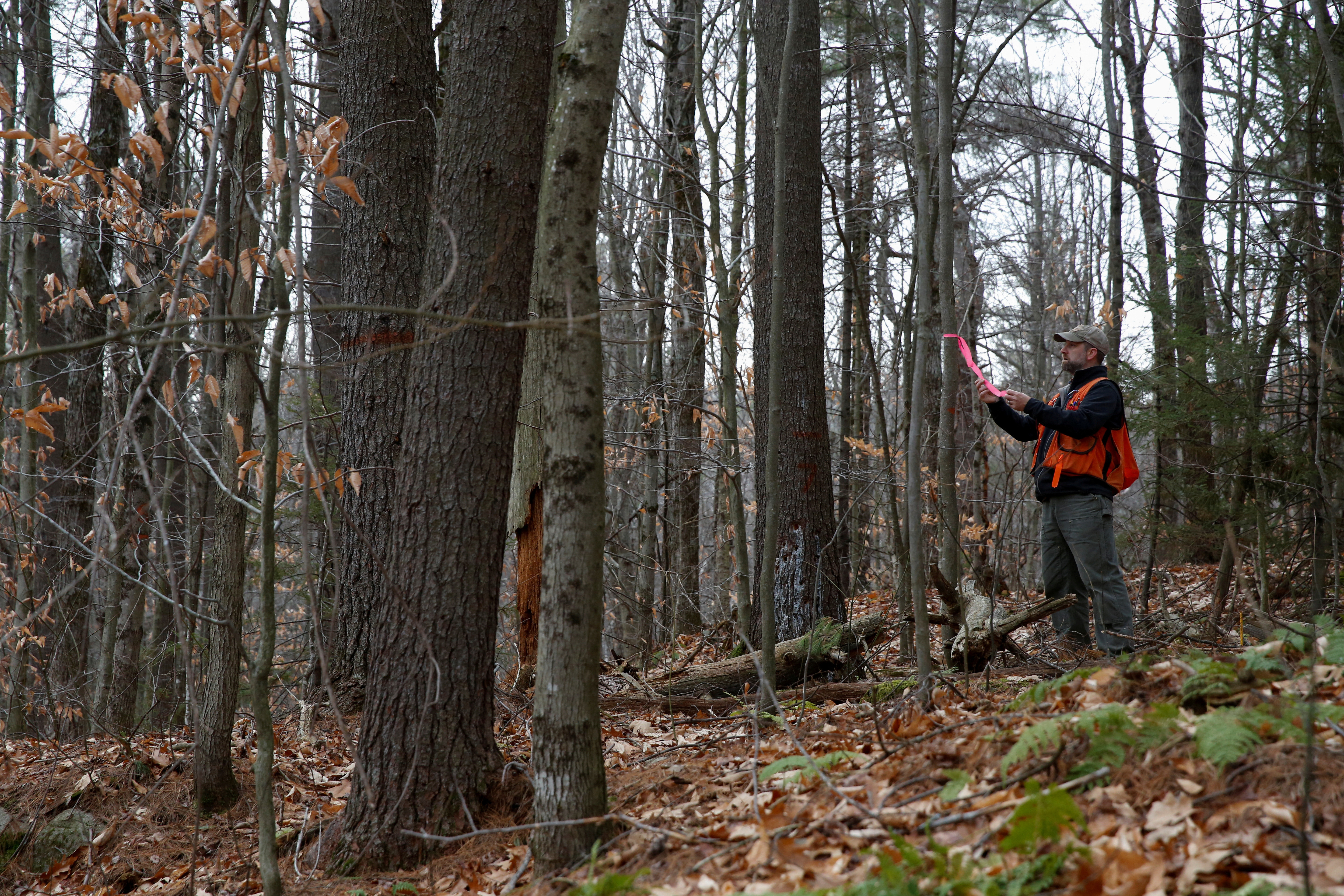 Carbon Cowboys” Chasing Emissions Offsets in the  Keep  Forest-Dwelling Communities in the Dark - Inside Climate News