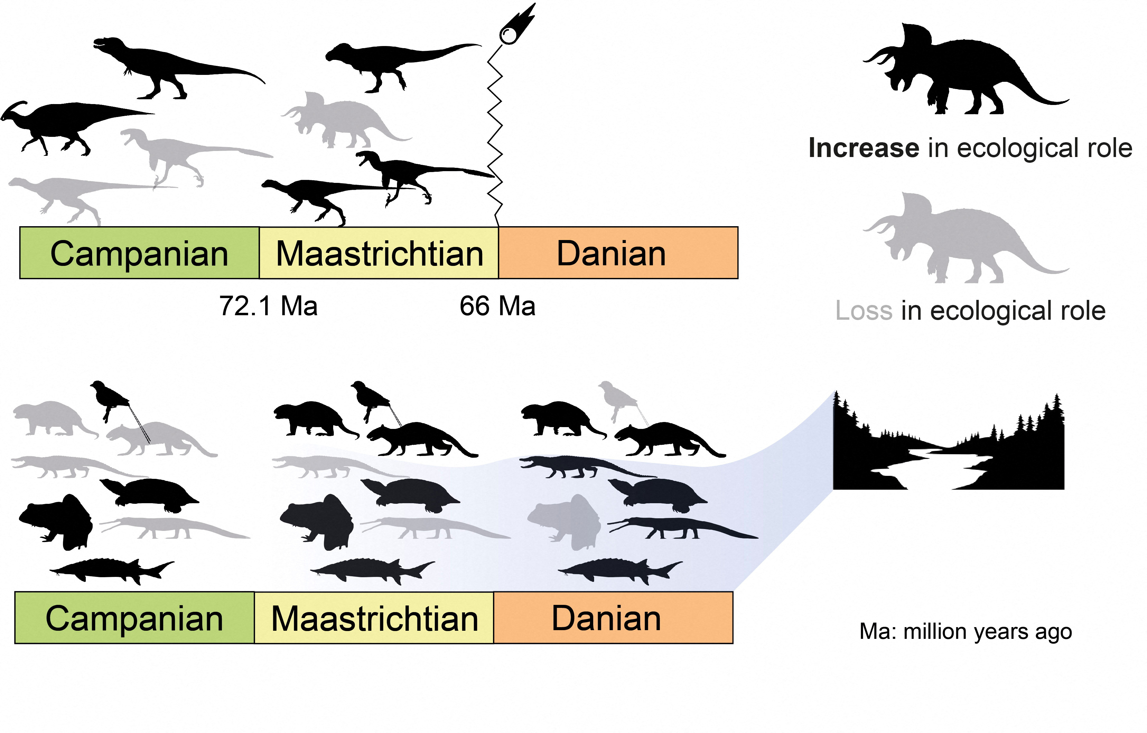 An undated handout illustration shows ecological network dynamics across the Cretaceous–Palaeogene extinction event 66 million years ago