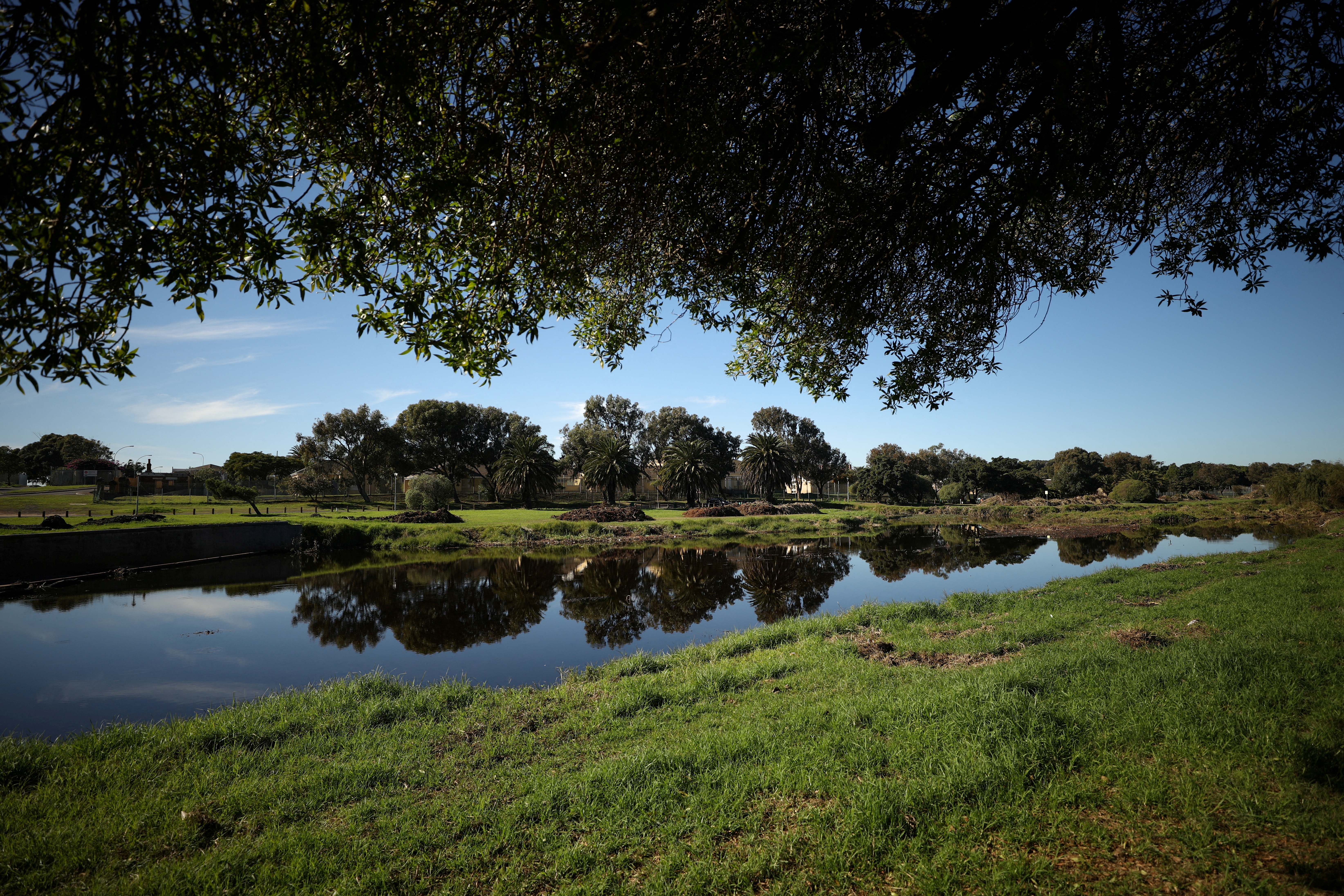 Trees line the banks of the historically significant Liesbeek River in Cape Town