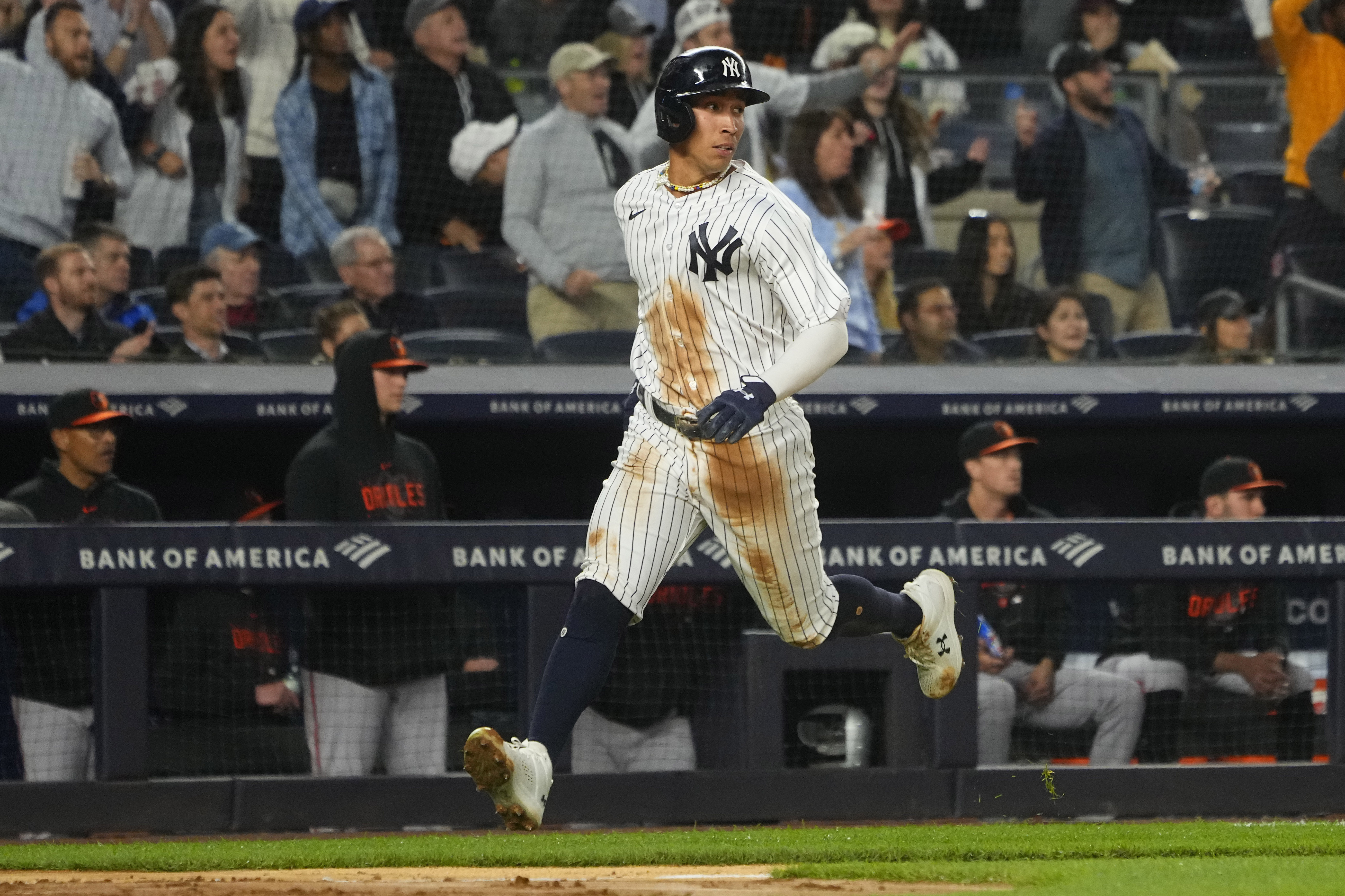 Red Sox Fan Buries Jersey in Yankees Stadium 