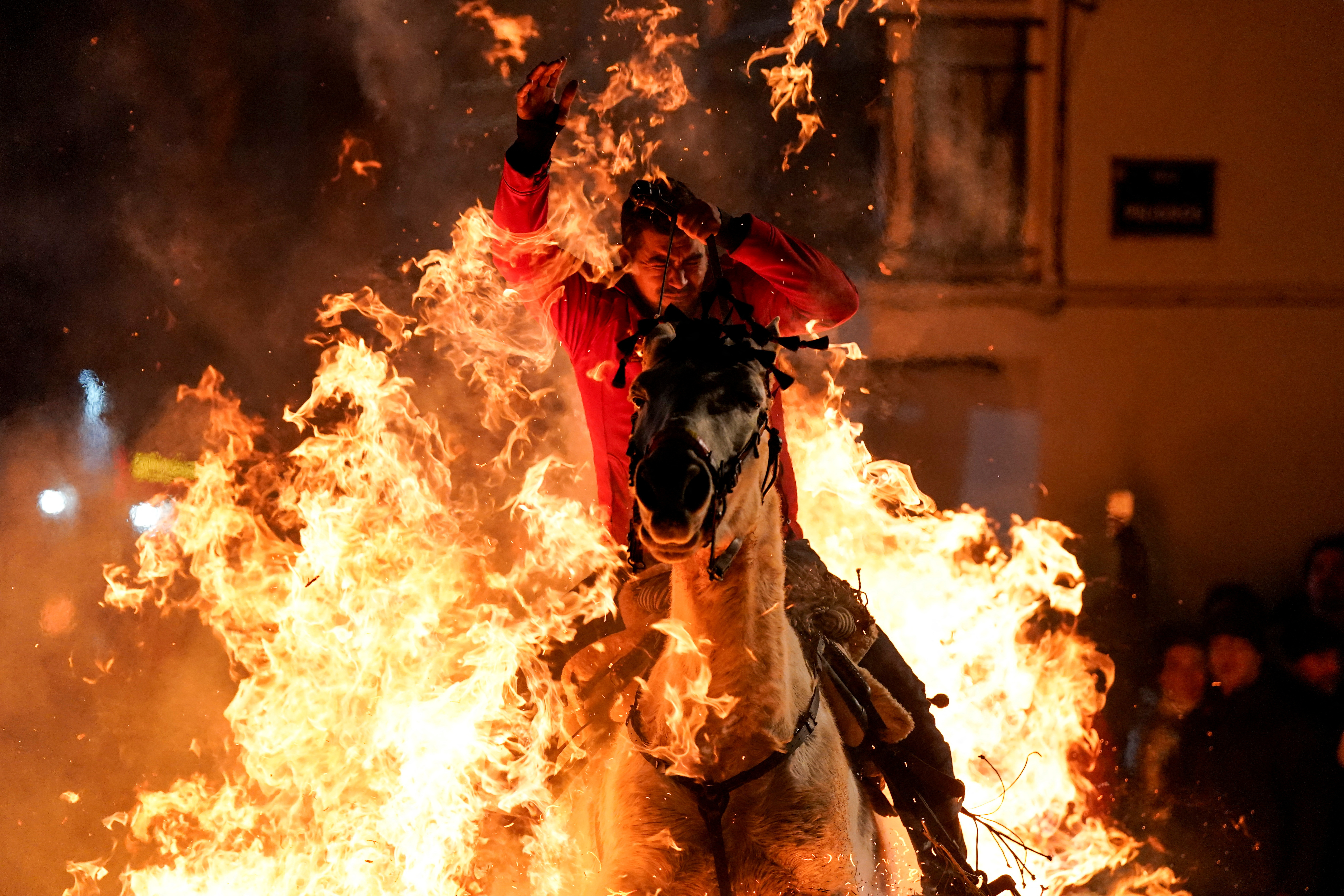 Horses purified by fire - January 17, 2025 | ロイター