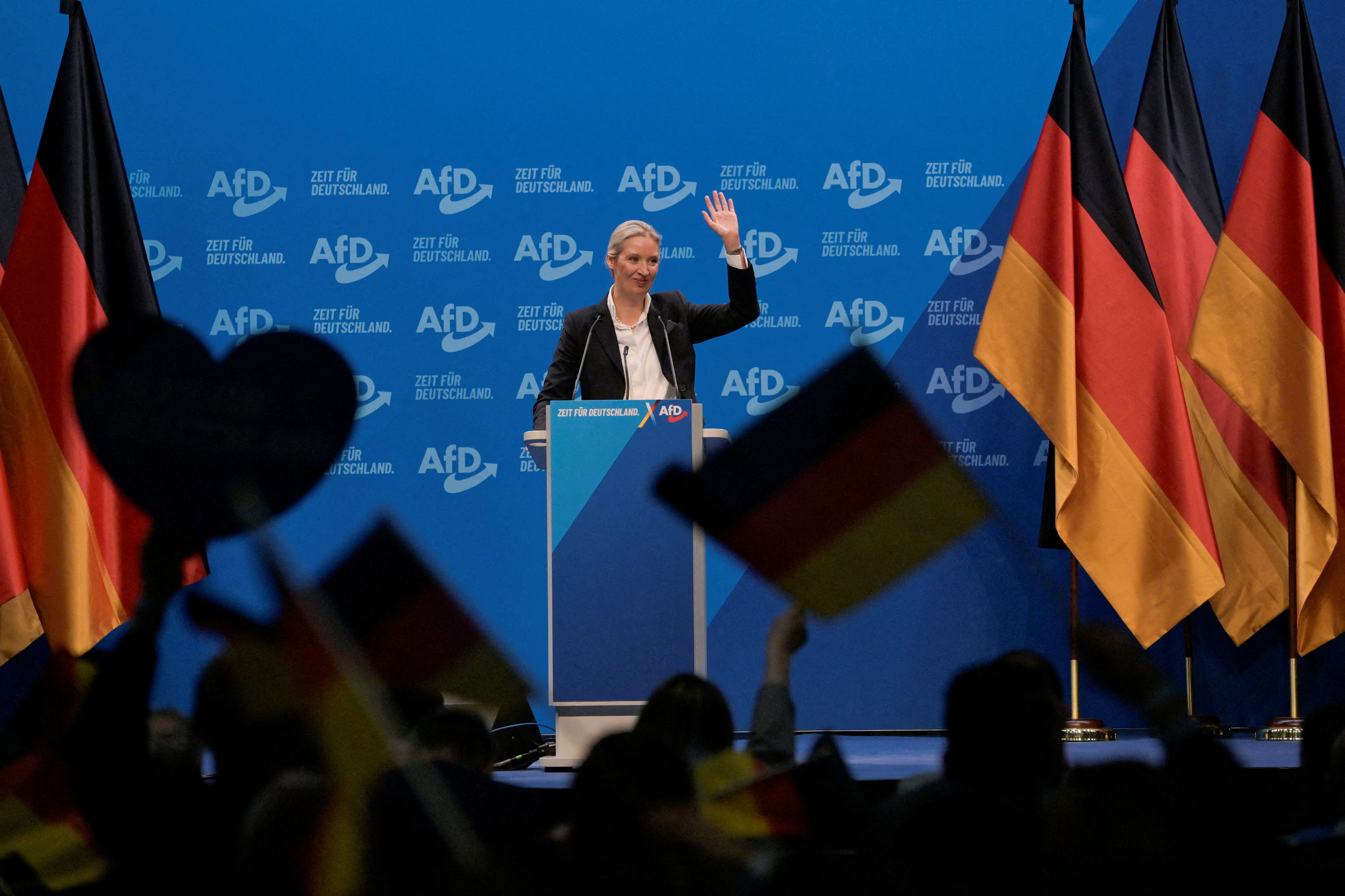 ロシア偽情報作戦、独総選挙に照準 AfDを支援＝シンクタンク | ロイター