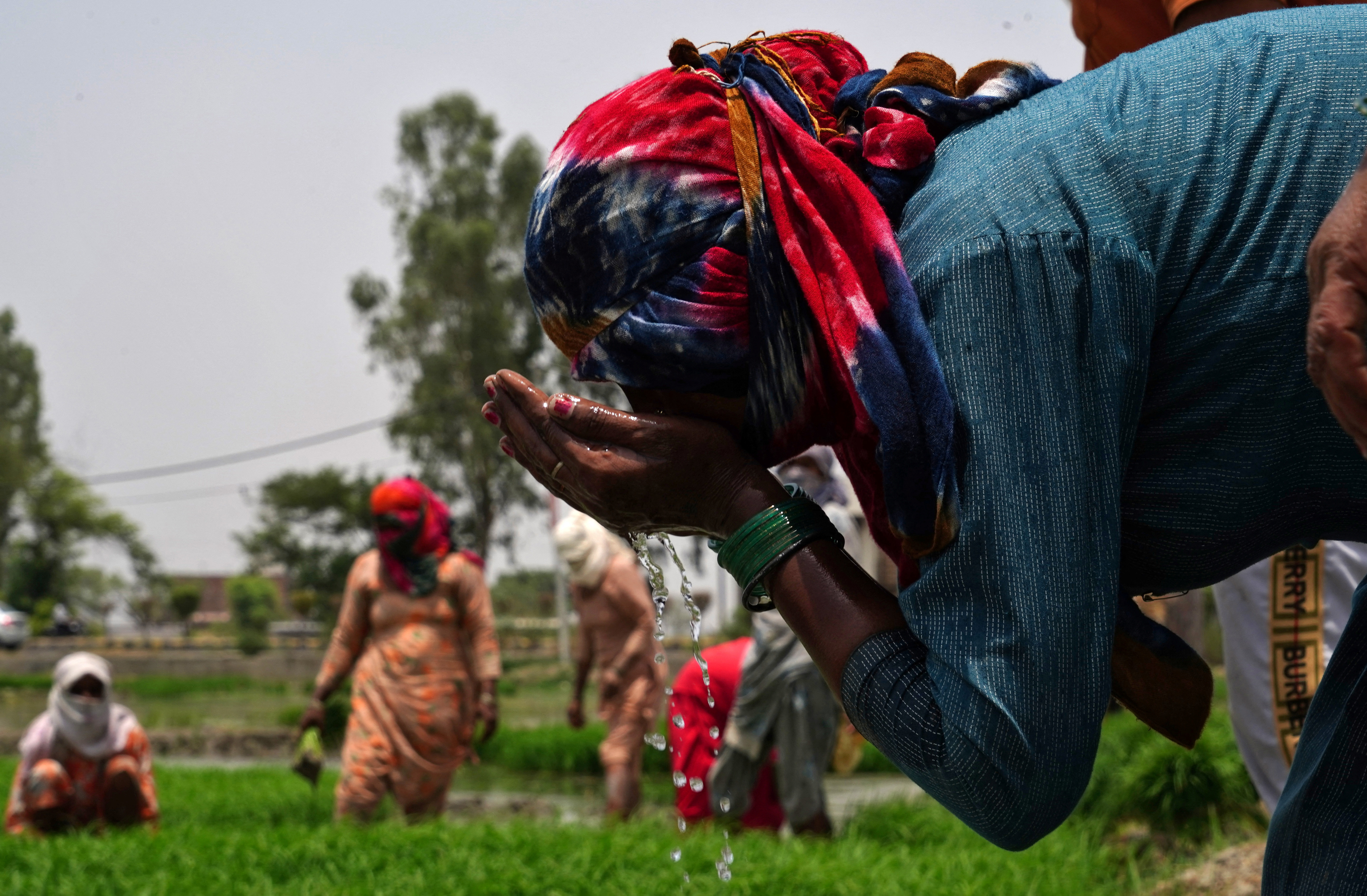 A farm labourer drinks water during a break amid work on a paddy field on a hot summer day in Karnal